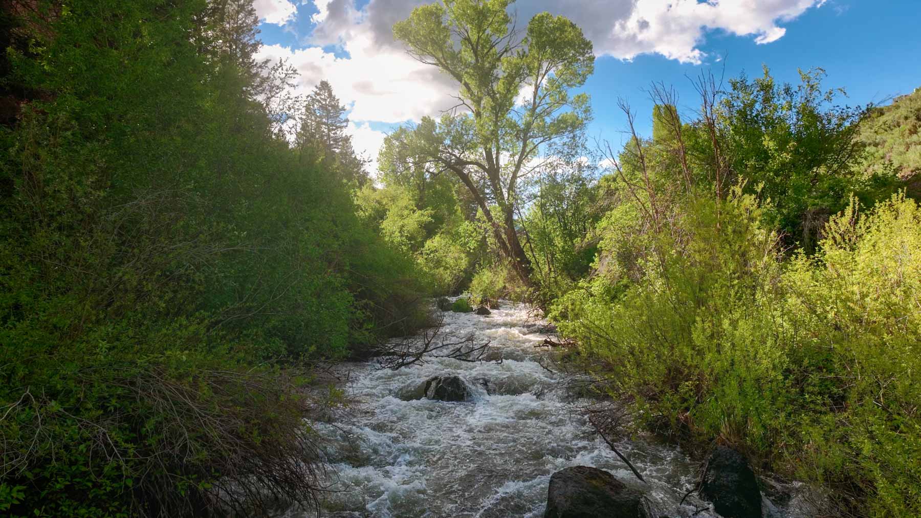 Downing Bend Ranch property picture 5 of 91