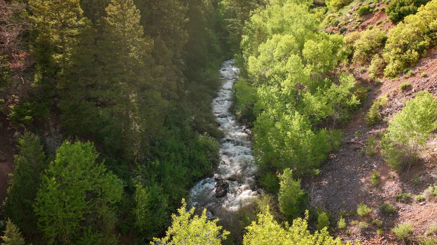 Downing Bend Ranch property picture 3 of 91