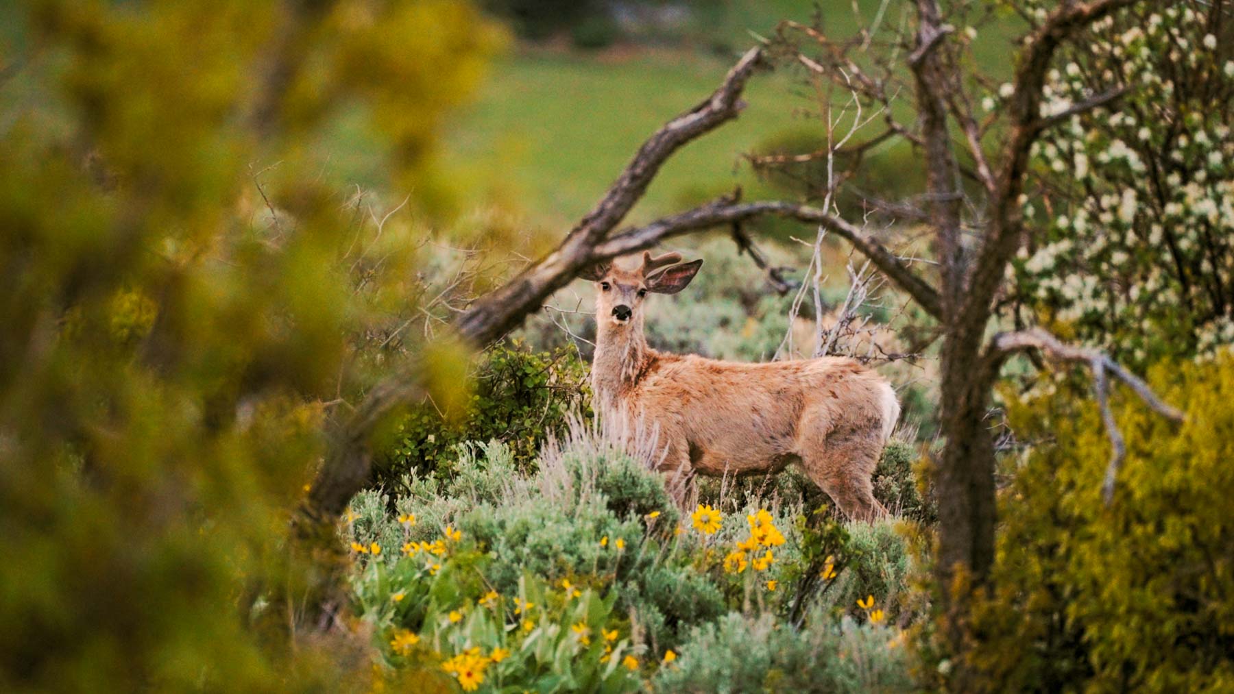 Downing Bend Ranch property picture 12 of 91