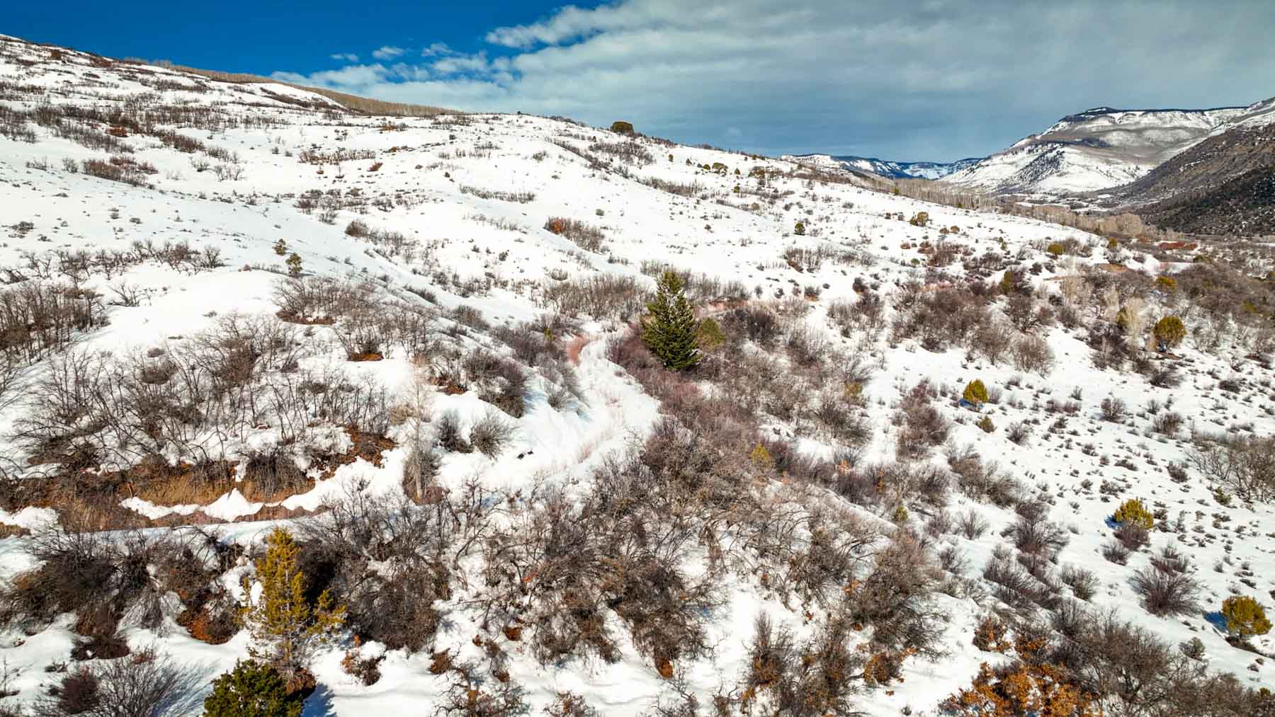 Downing Bend Ranch property picture 86 of 91