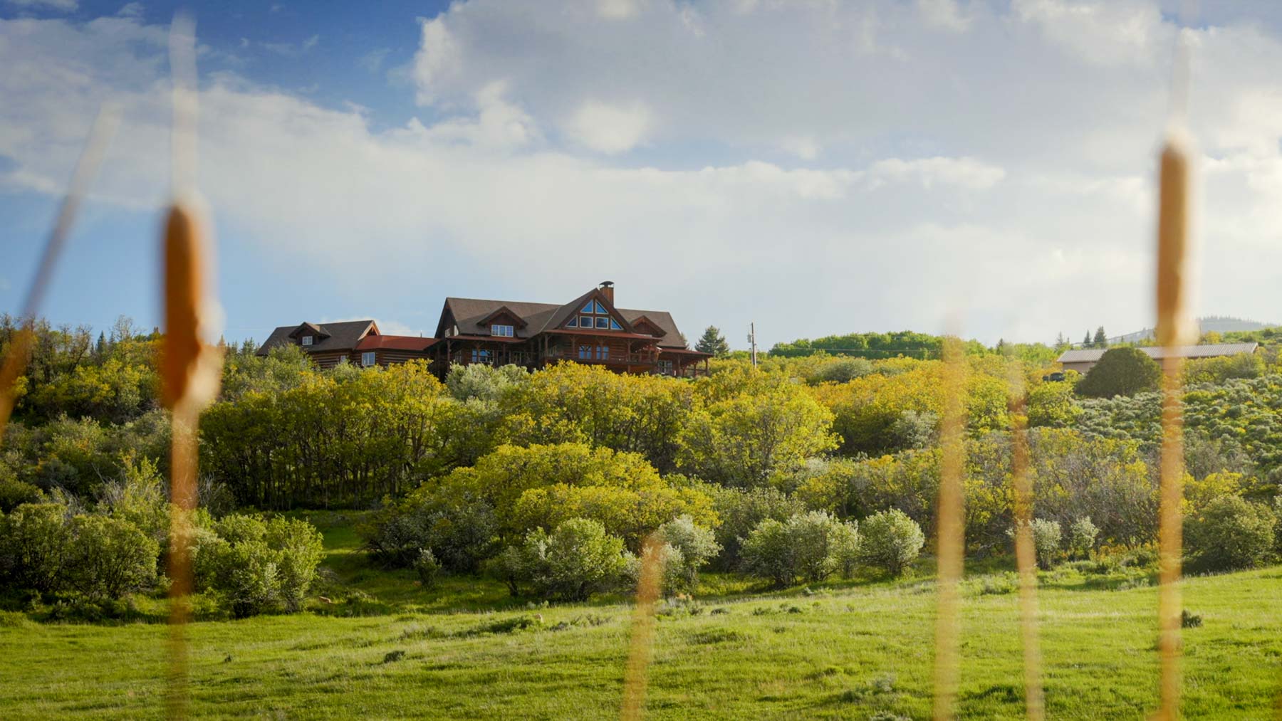 Downing Bend Ranch property picture 11 of 91