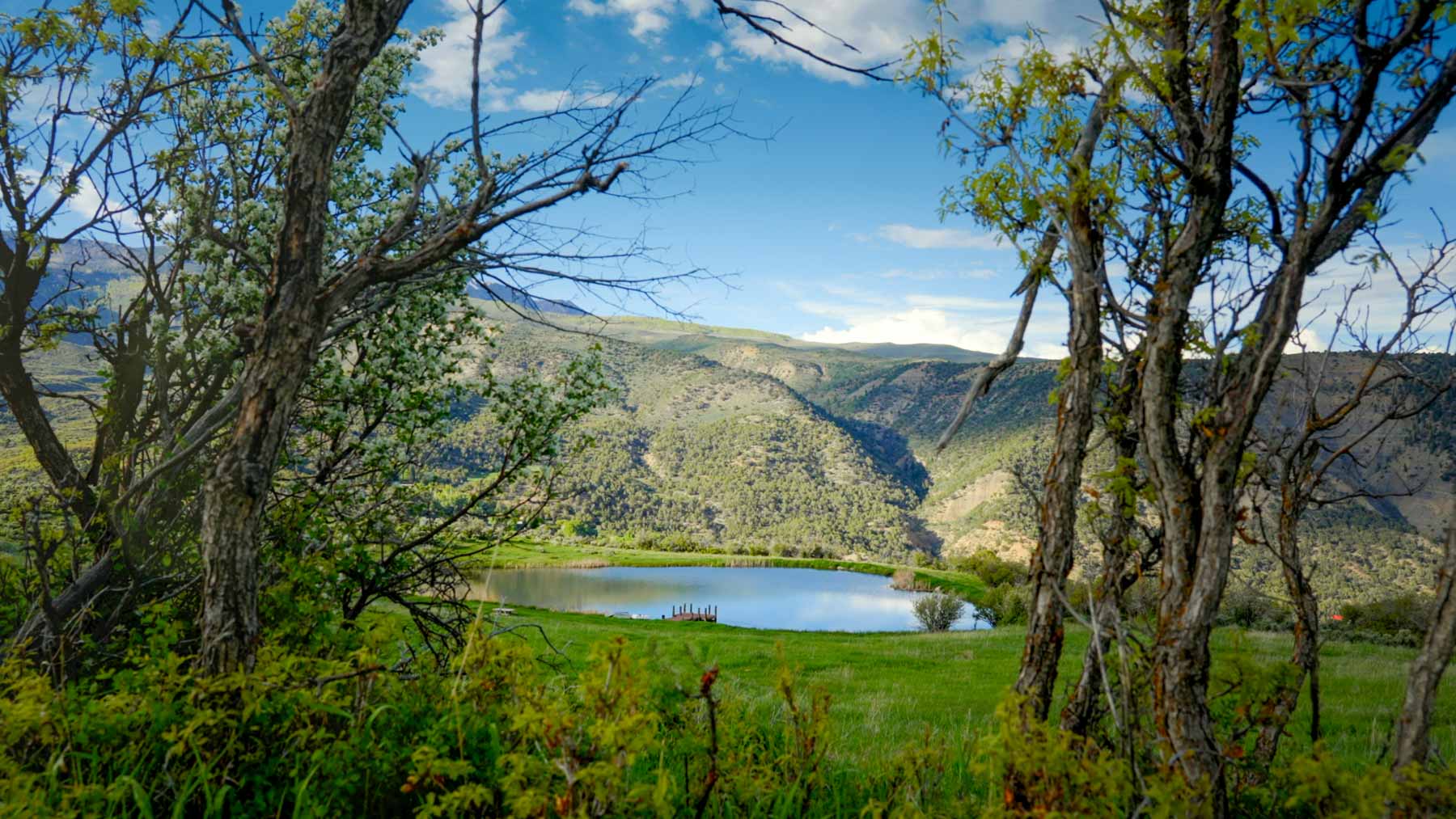 Downing Bend Ranch property picture 23 of 91