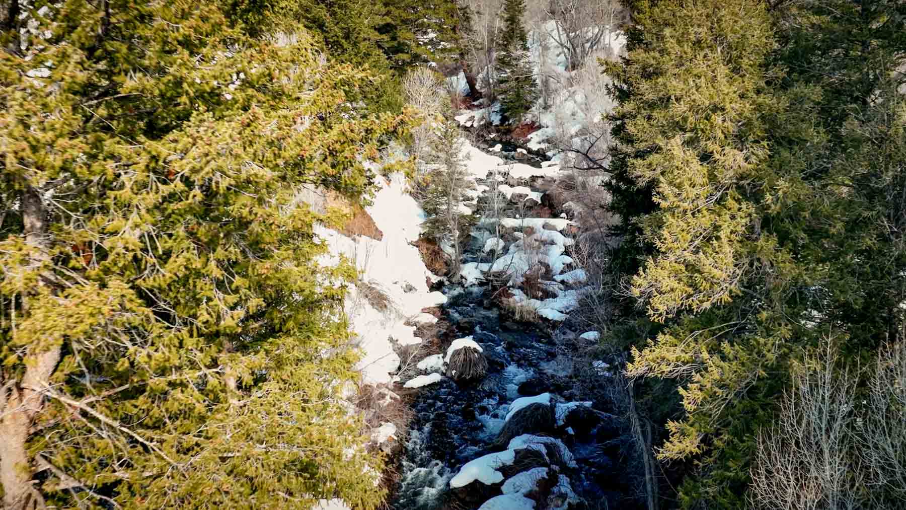 Downing Bend Ranch property picture 39 of 91