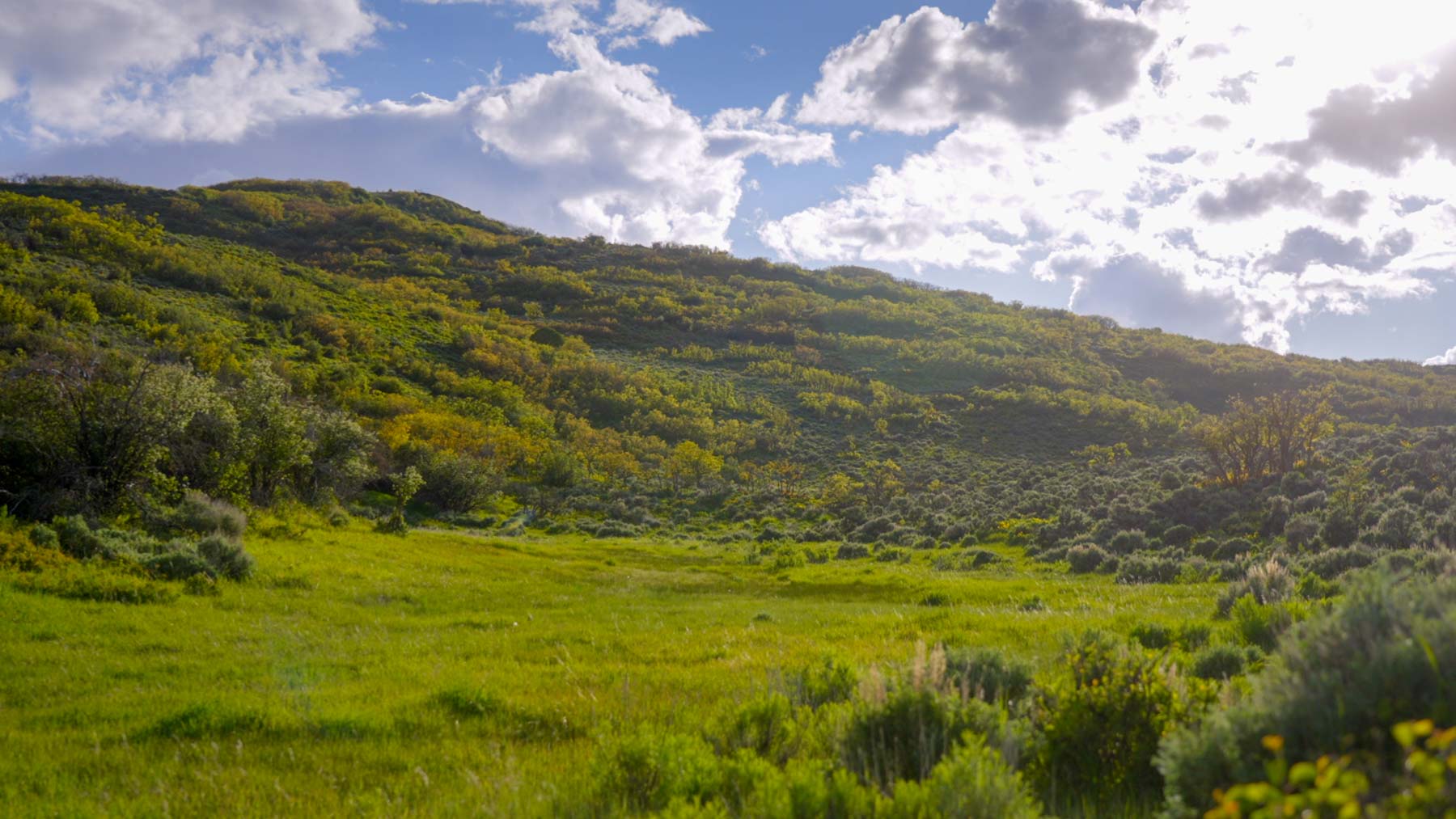 Downing Bend Ranch property picture 34 of 91