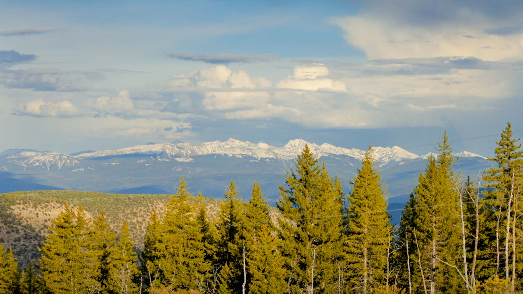 Downing Bend Ranch property picture 36 of 91