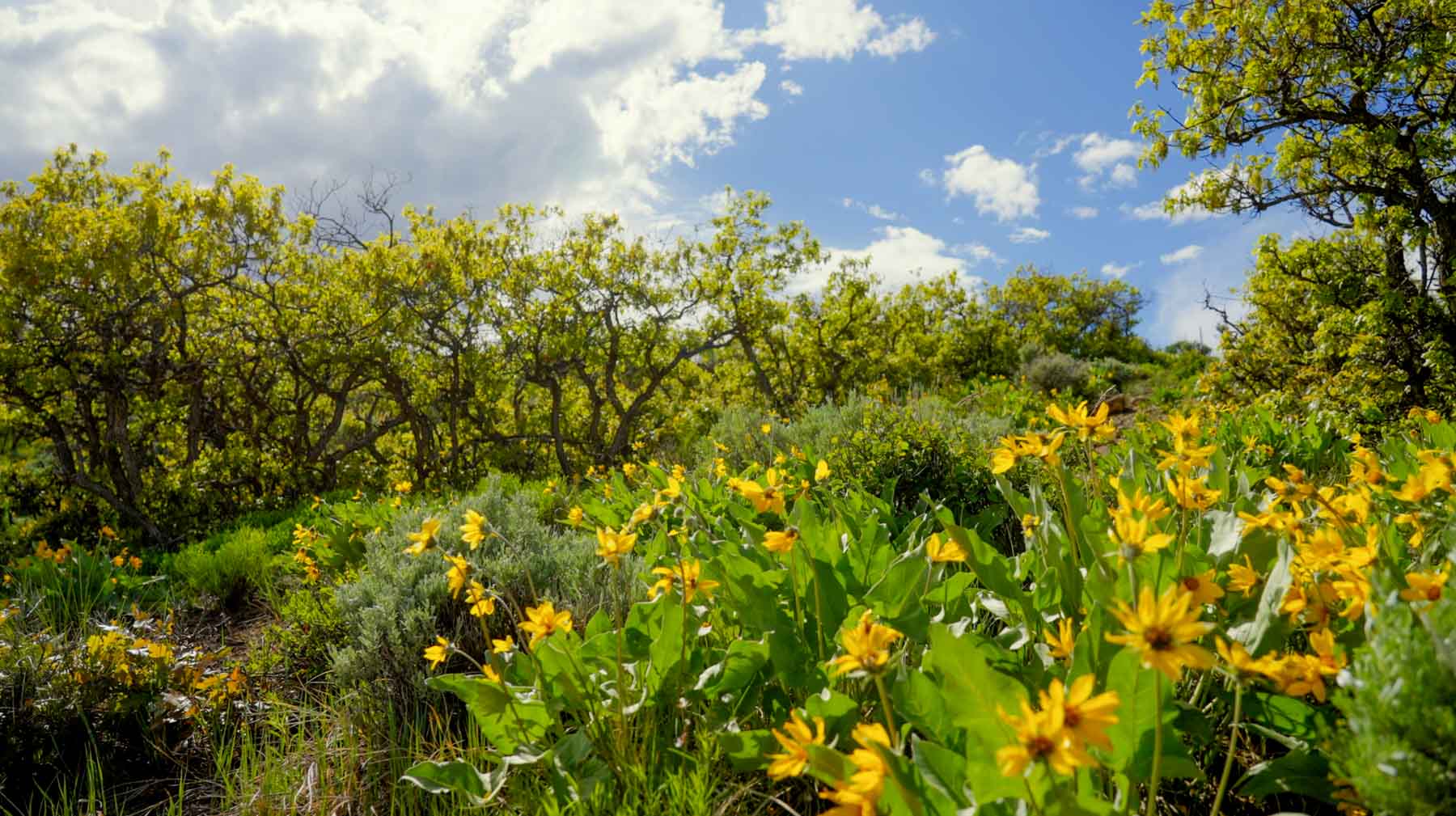 Downing Bend Ranch property picture 4 of 91