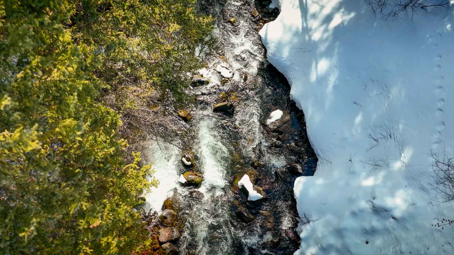 Downing Bend Ranch property picture 69 of 91