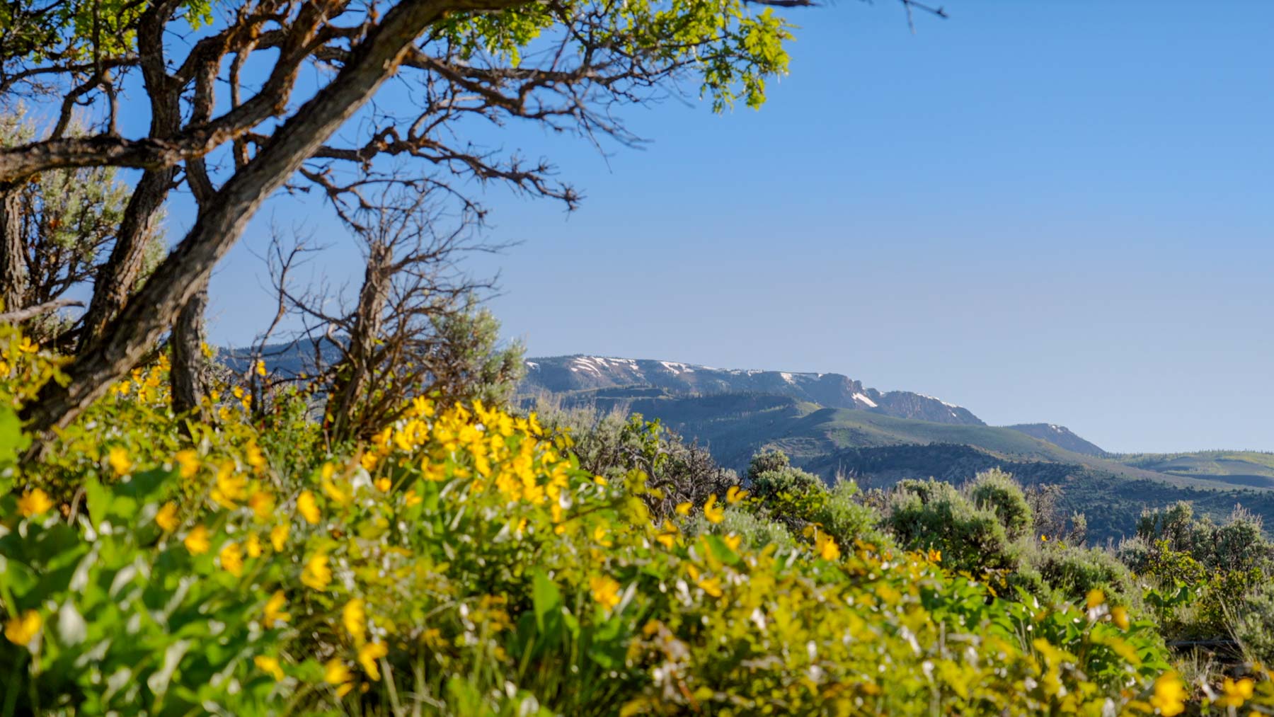Downing Bend Ranch property picture 8 of 91