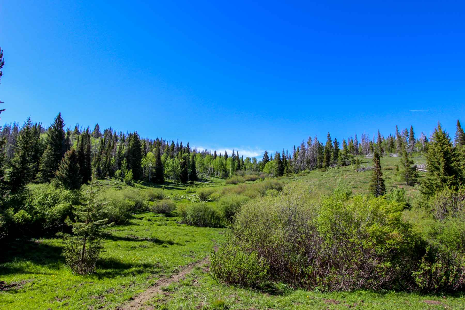 Yarmony Mountain Ranch property picture 45 of 62