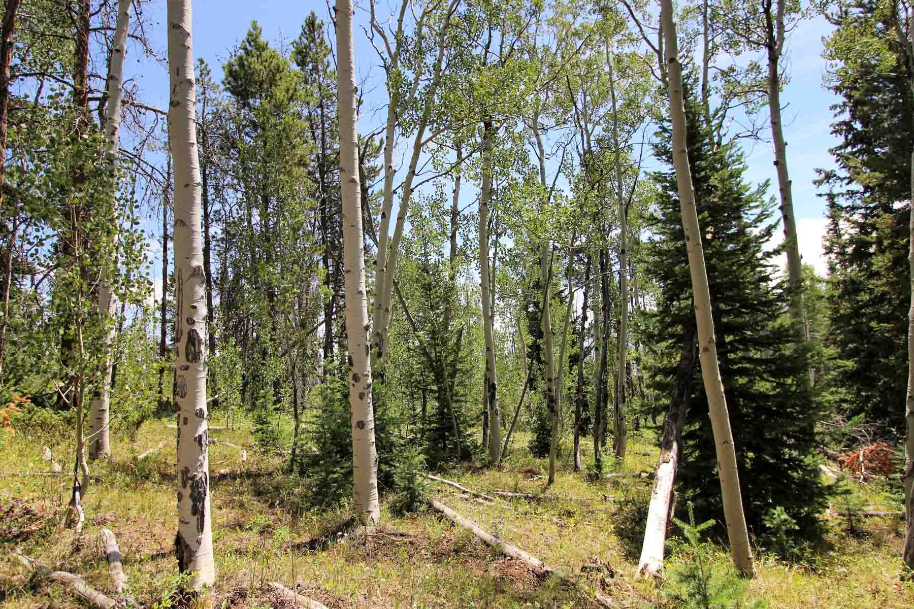 Yarmony Mountain Ranch property picture 27 of 62