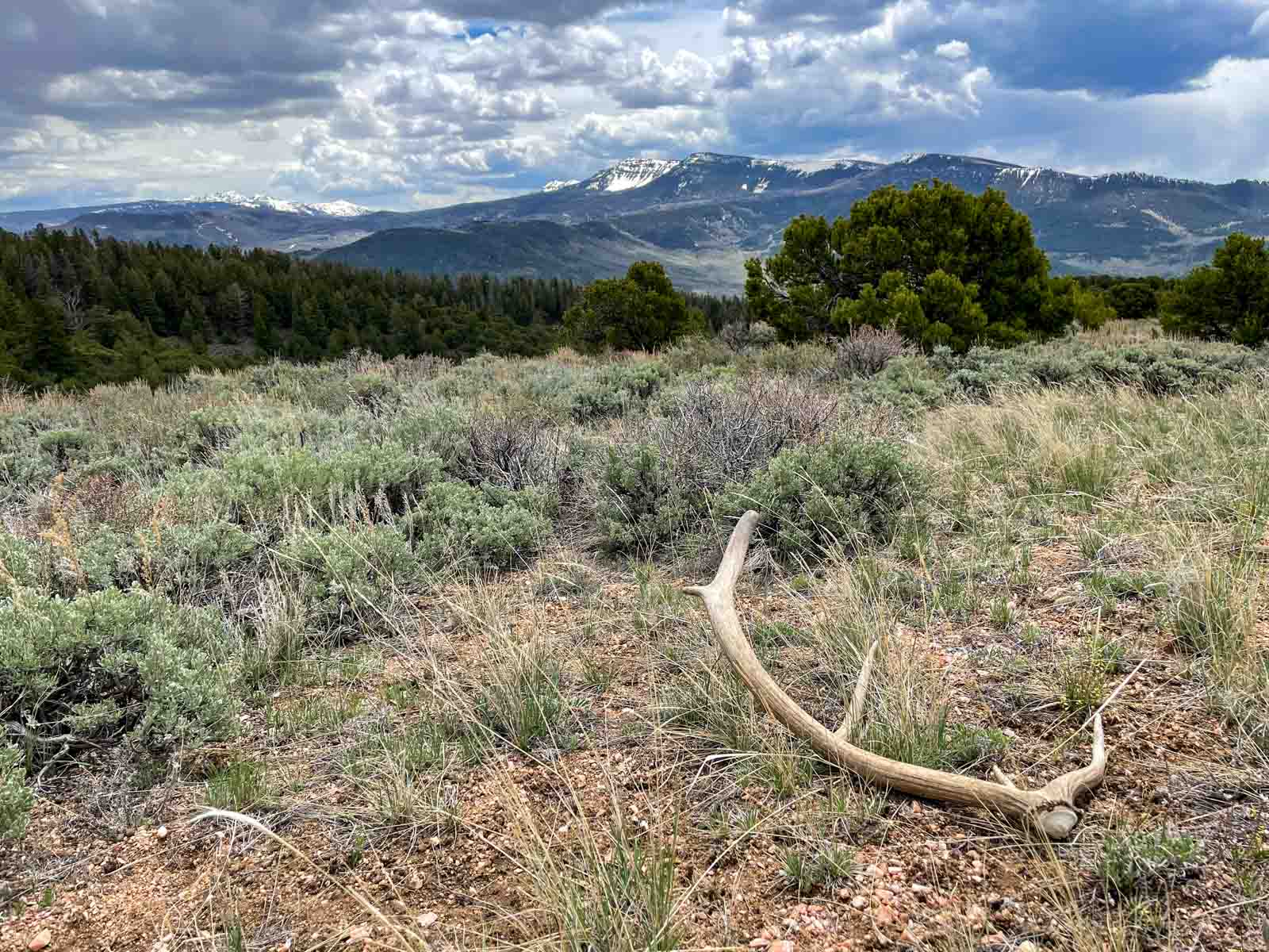 Yarmony Mountain Ranch property picture 10 of 62