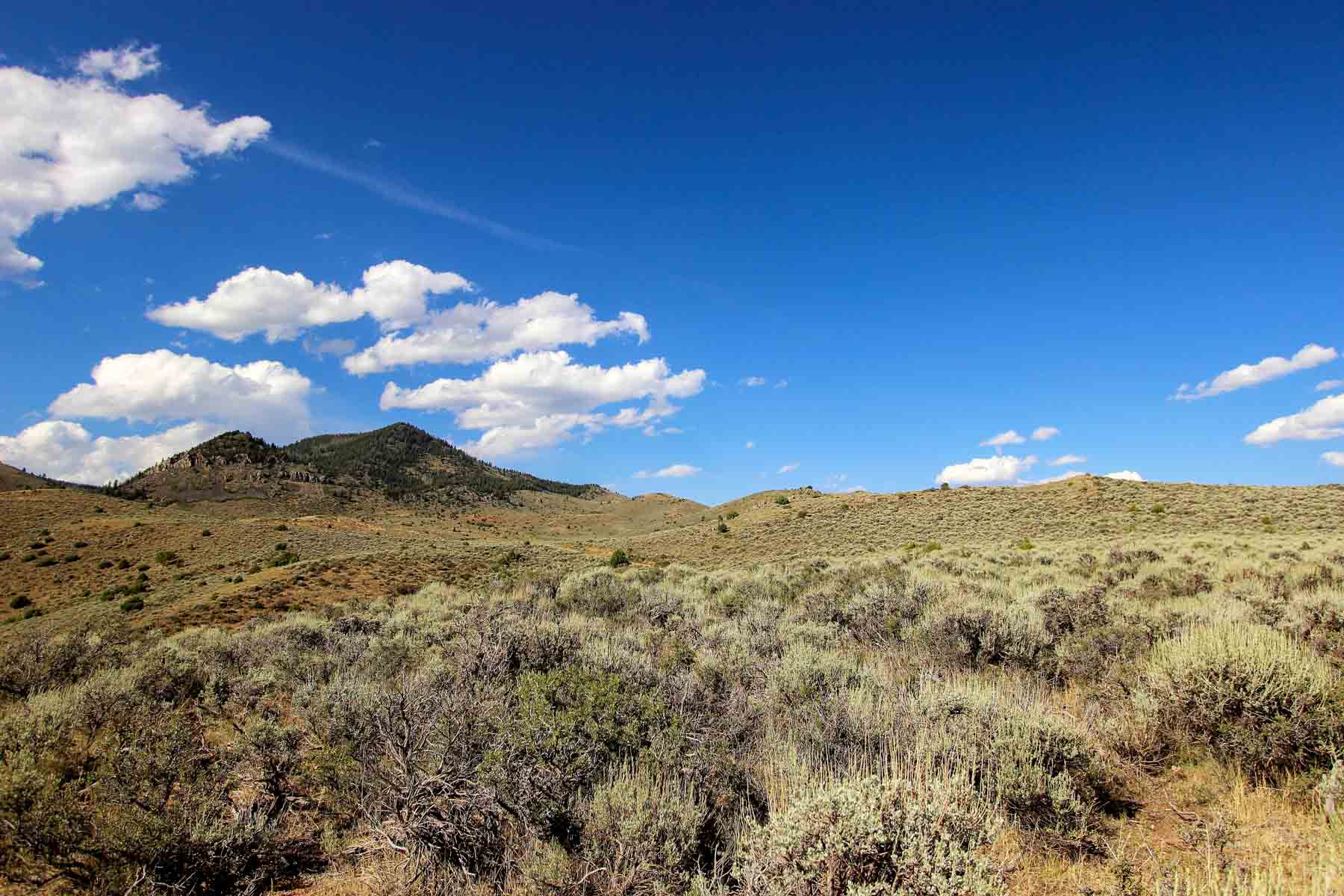 Yarmony Mountain Ranch property picture 23 of 62