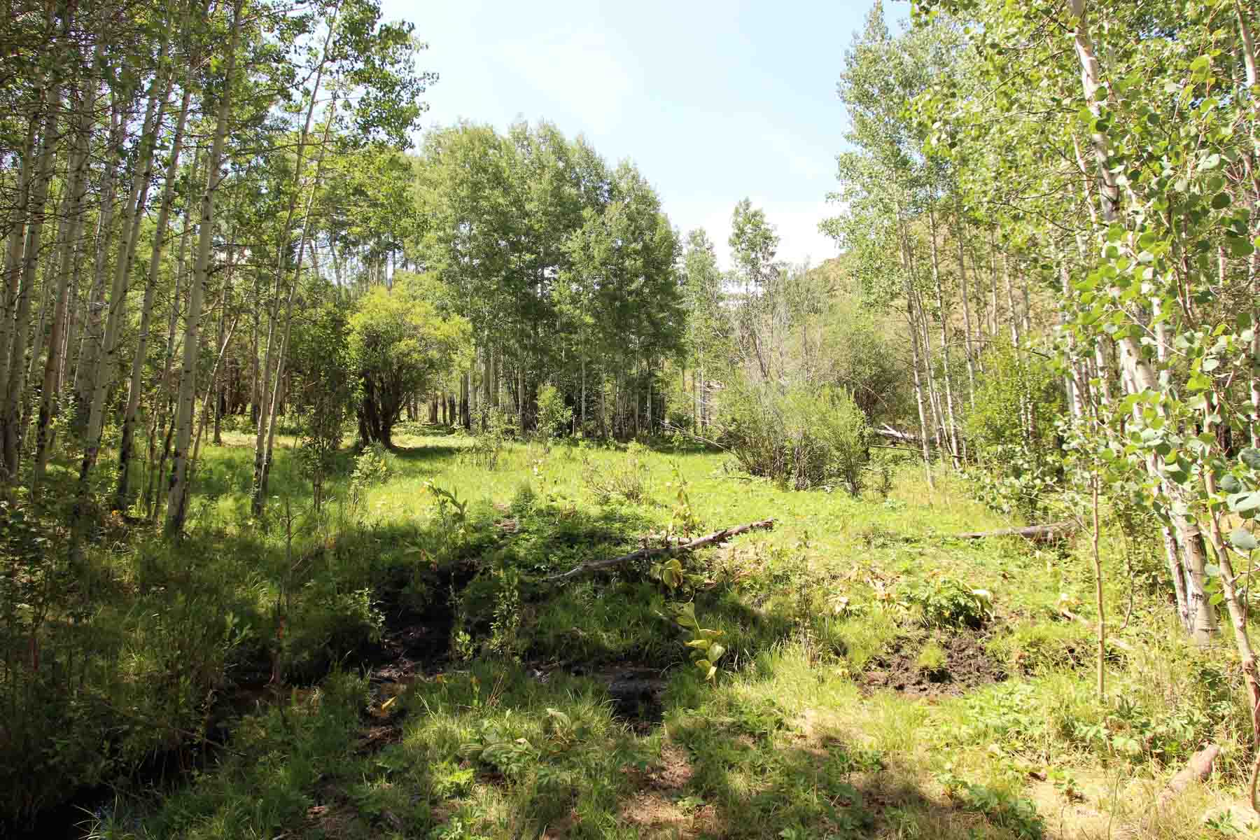 Yarmony Mountain Ranch property picture 14 of 62