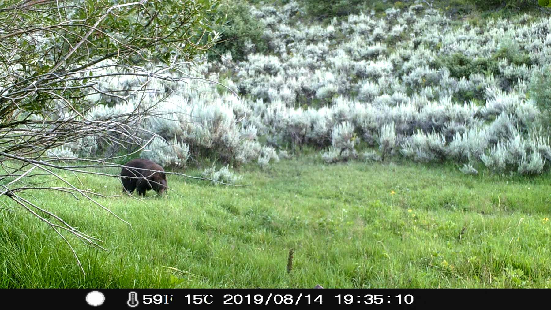 Yarmony Mountain Ranch property picture 56 of 62