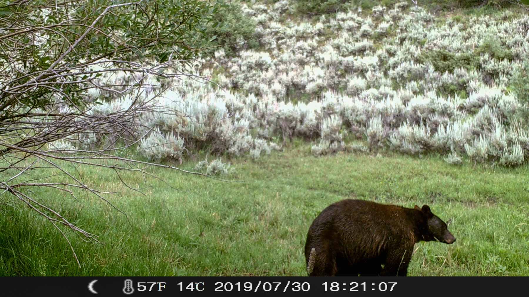 Yarmony Mountain Ranch property picture 49 of 62