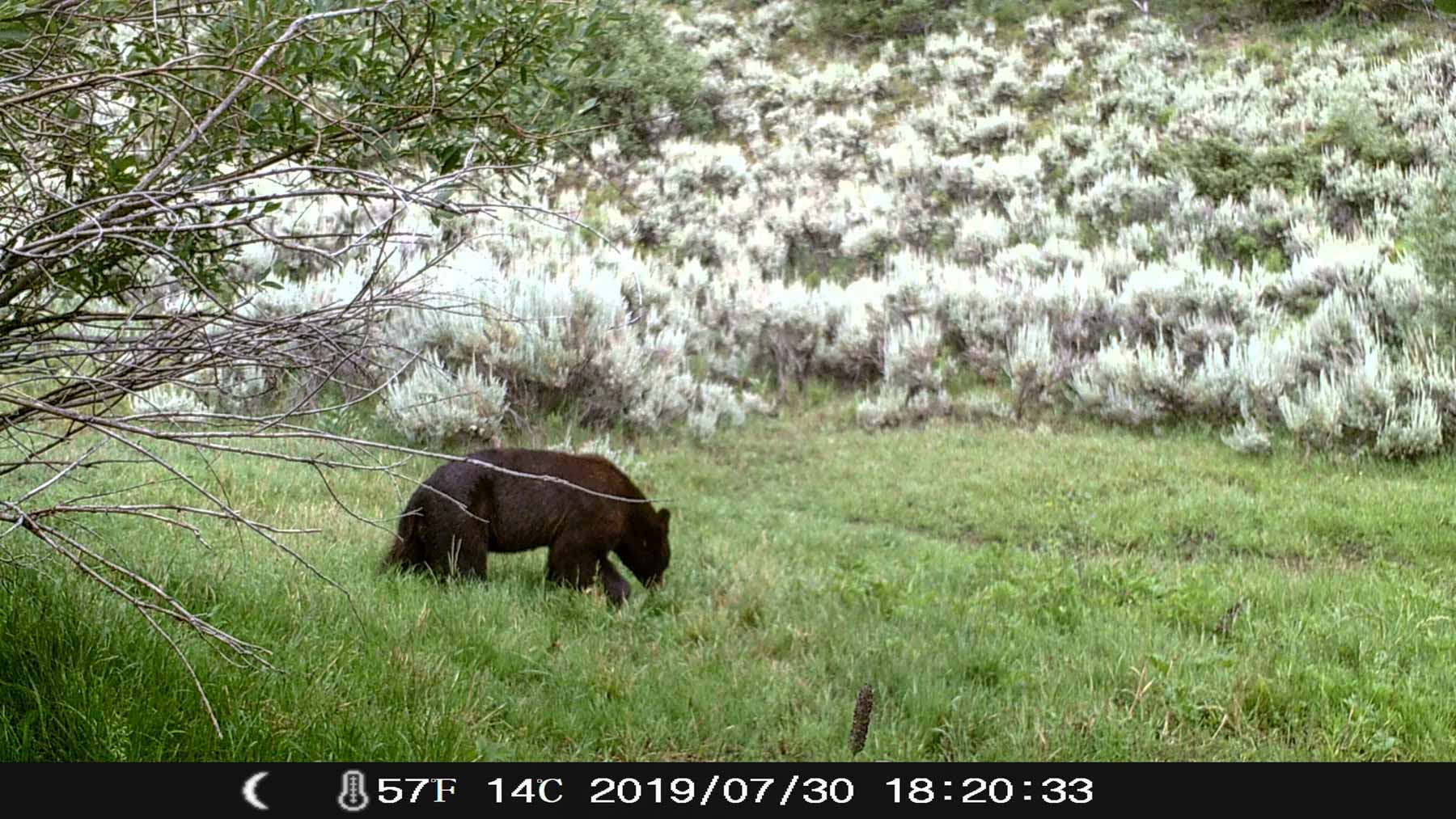 Yarmony Mountain Ranch property picture 48 of 62