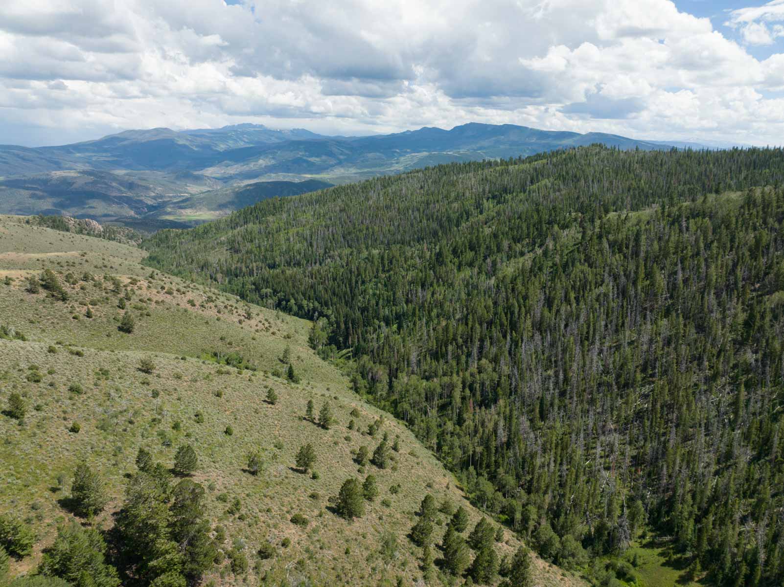 Yarmony Mountain Ranch property picture 3 of 62