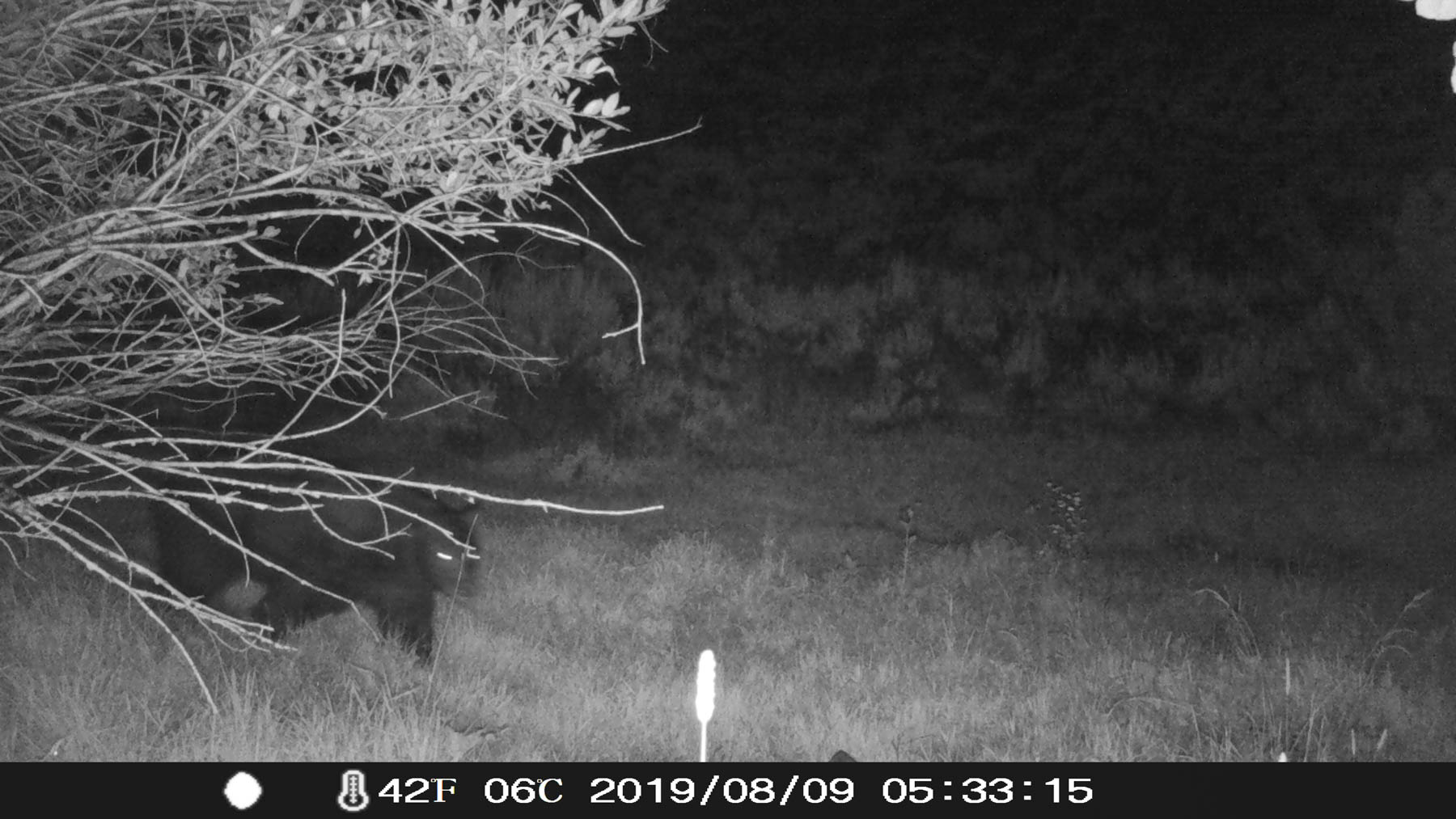 Yarmony Mountain Ranch property picture 55 of 62