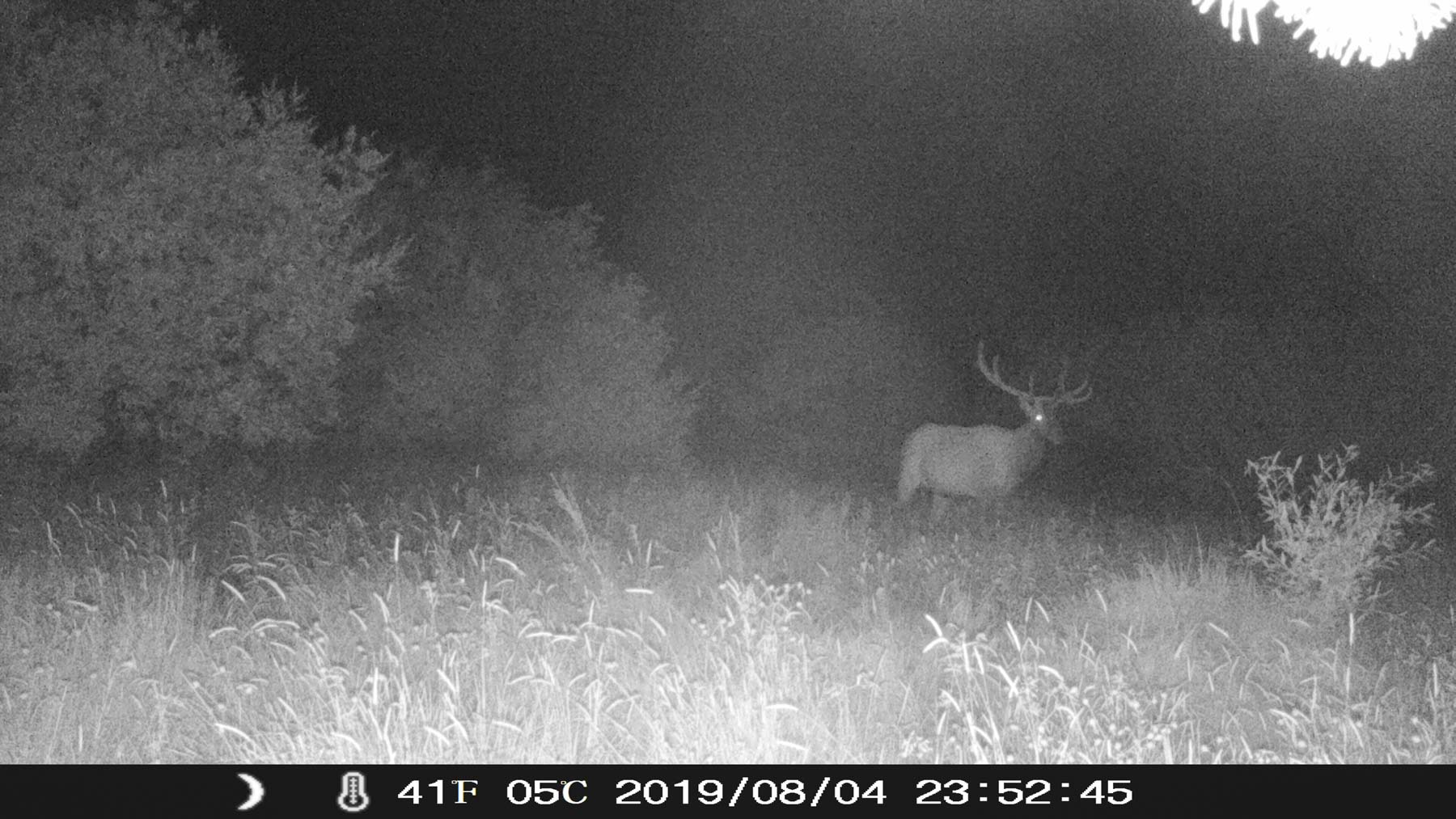 Yarmony Mountain Ranch property picture 54 of 62