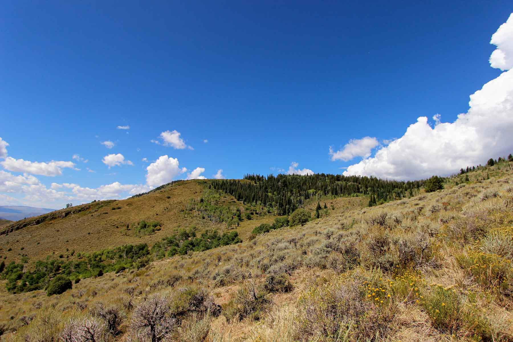 Yarmony Mountain Ranch property picture 36 of 62