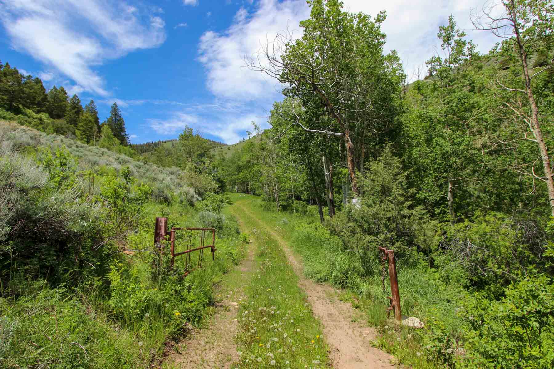 Yarmony Mountain Ranch property picture 22 of 62