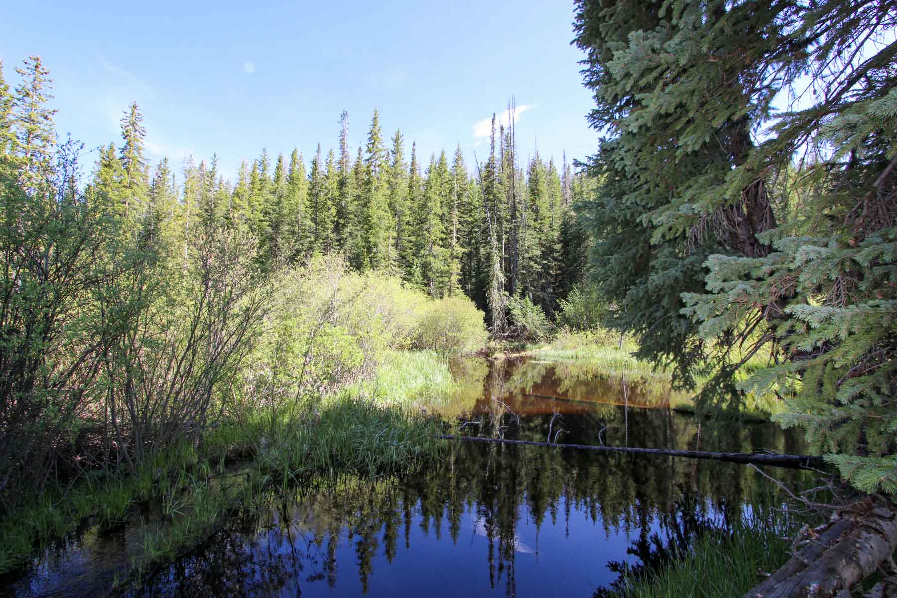 Yarmony Mountain Ranch property picture 13 of 62