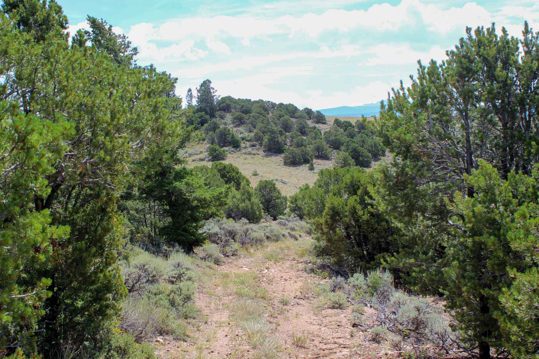 Yarmony Mountain Ranch property picture 20 of 62