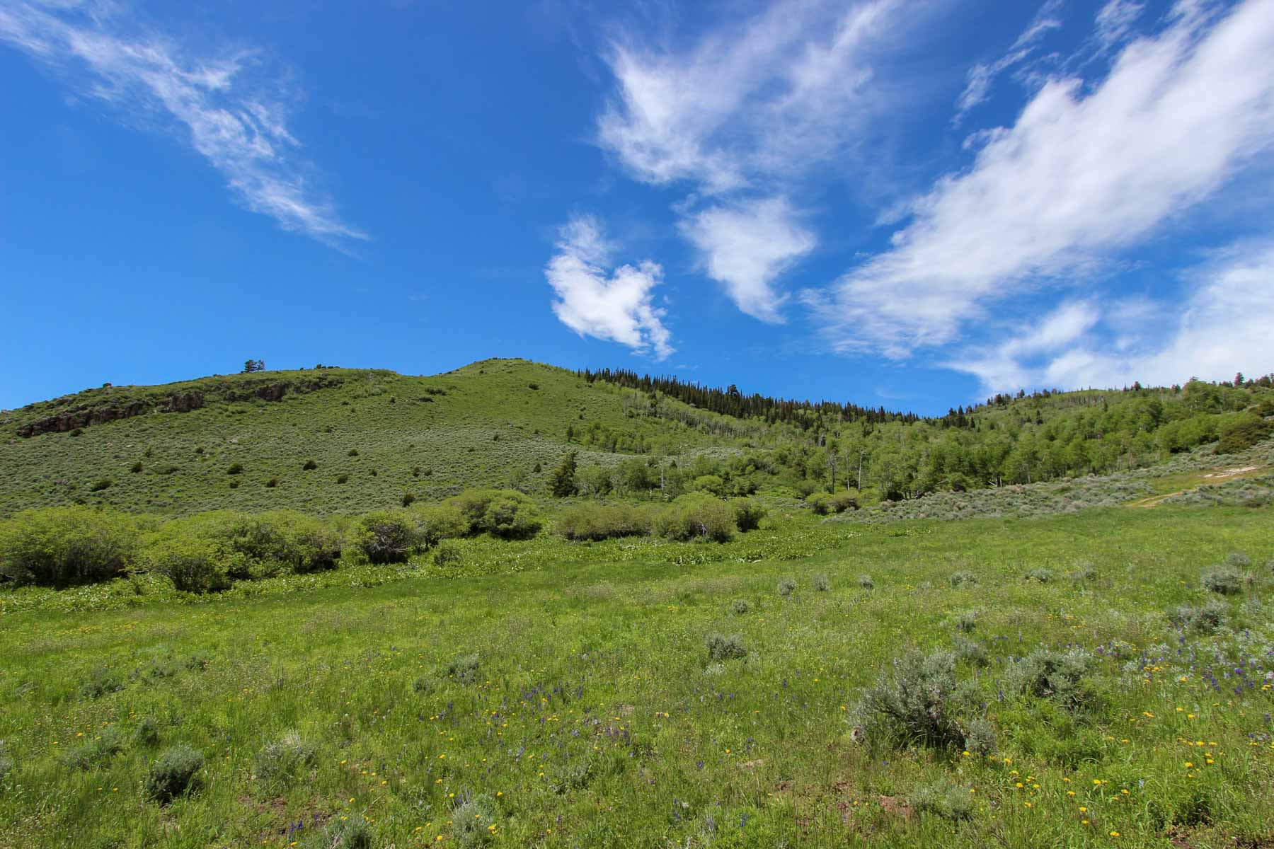 Yarmony Mountain Ranch property picture 40 of 62