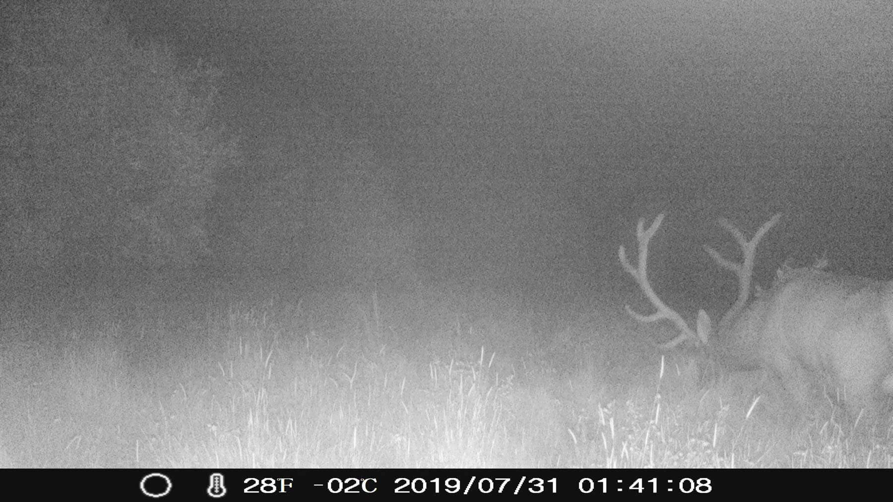 Yarmony Mountain Ranch property picture 50 of 62