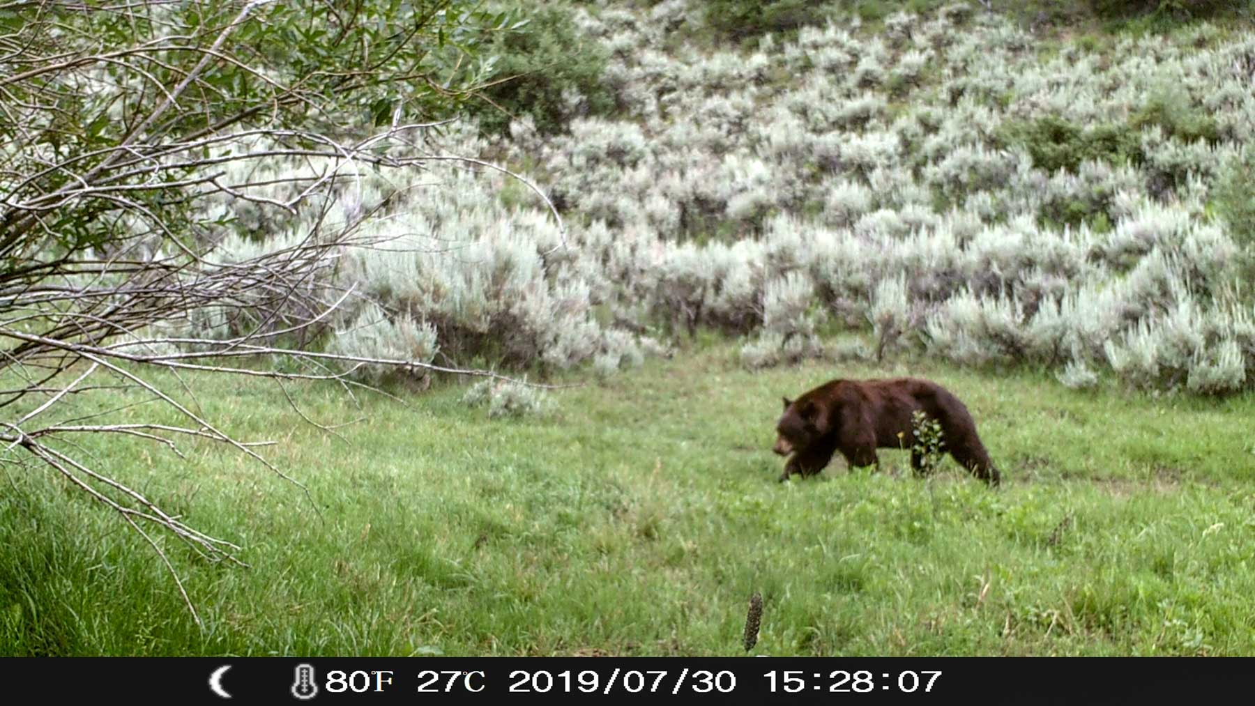 Yarmony Mountain Ranch property picture 46 of 62