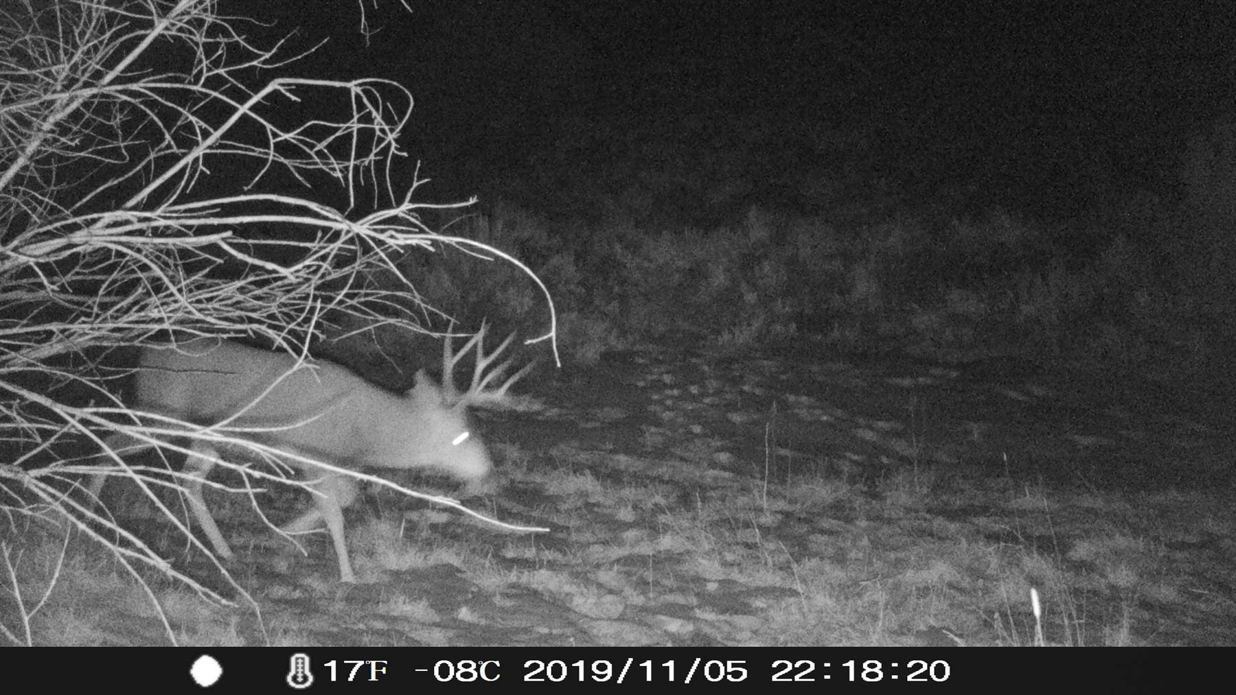 Yarmony Mountain Ranch property picture 59 of 62