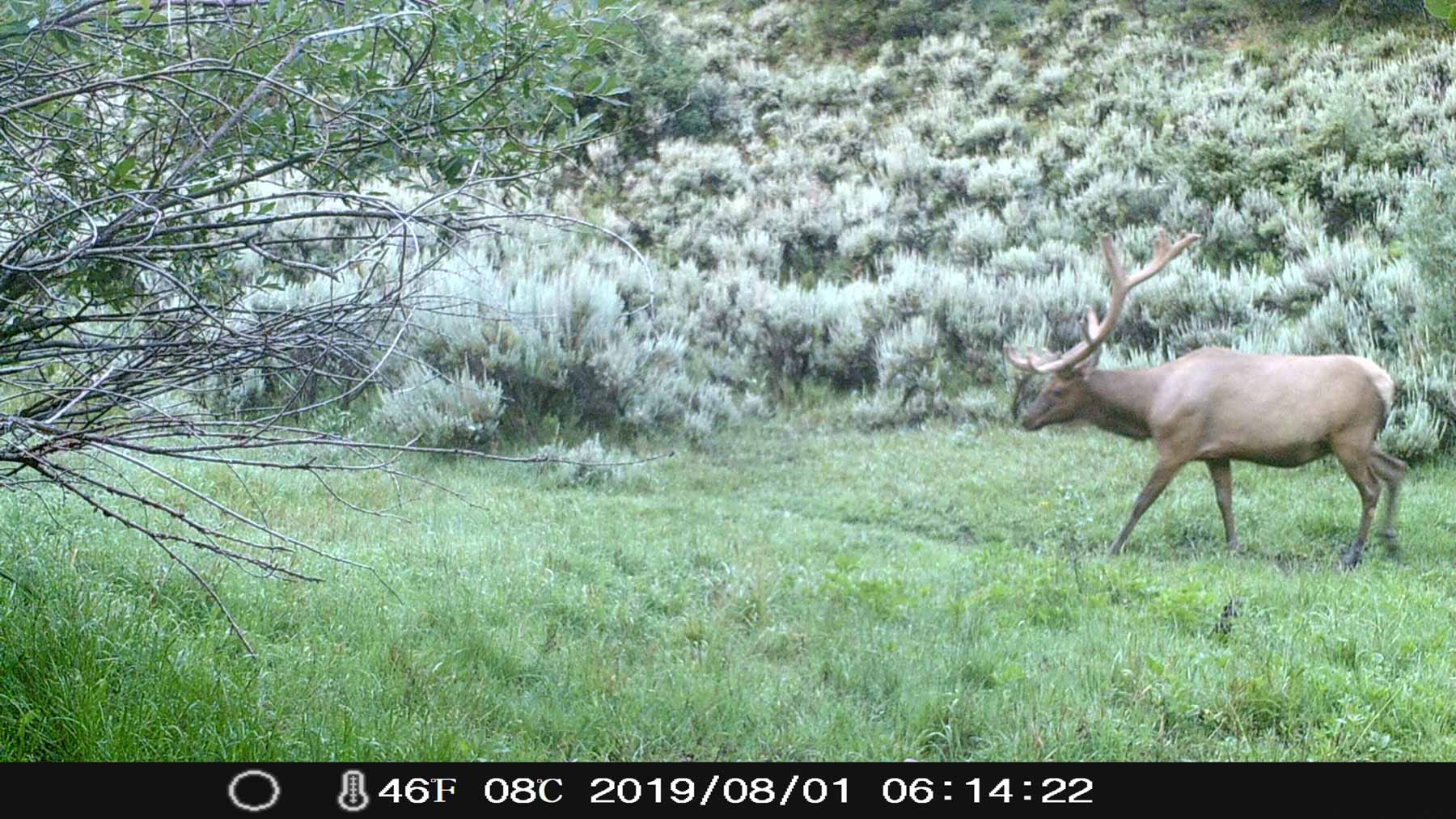 Yarmony Mountain Ranch property picture 51 of 62