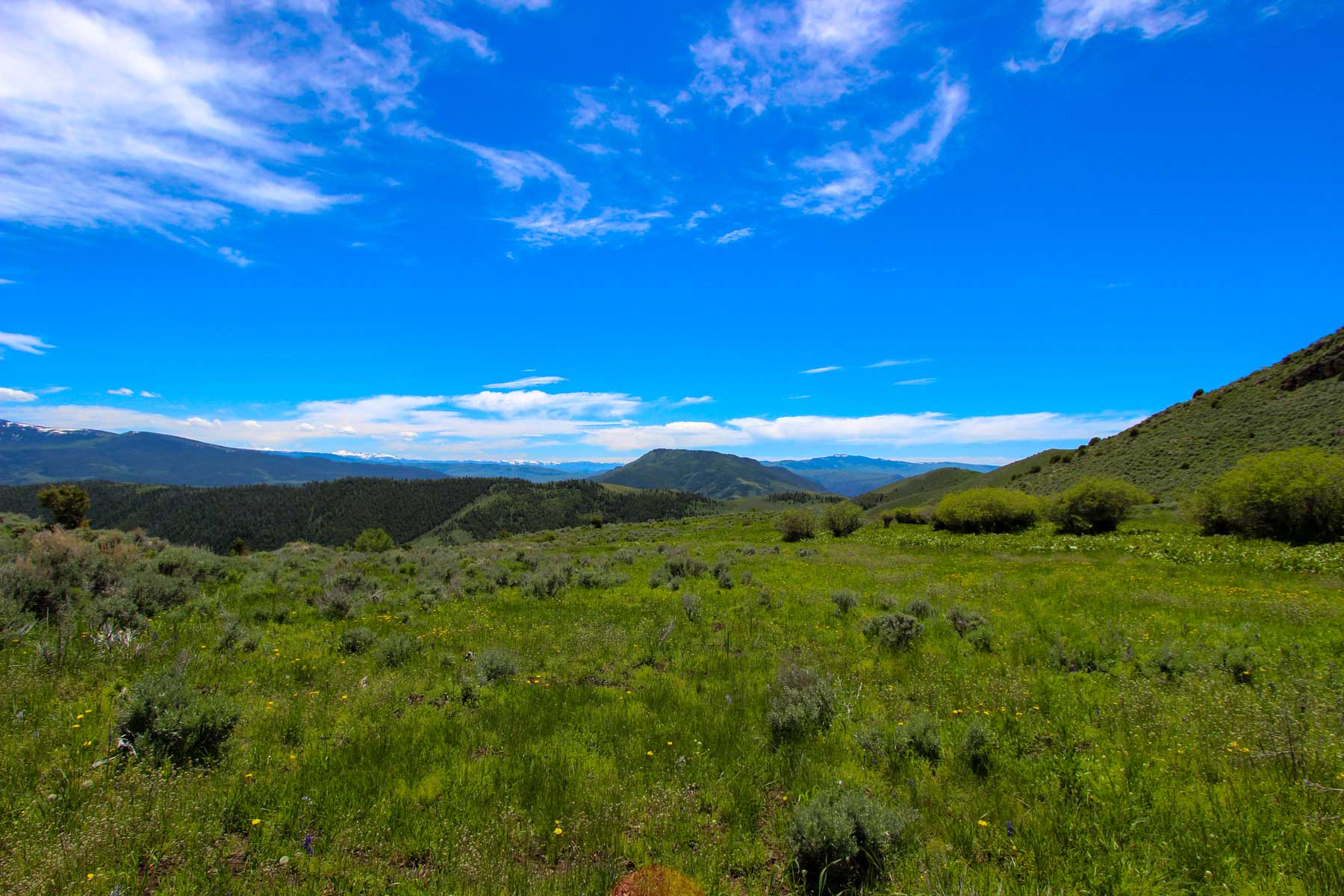 Yarmony Mountain Ranch property picture 38 of 62