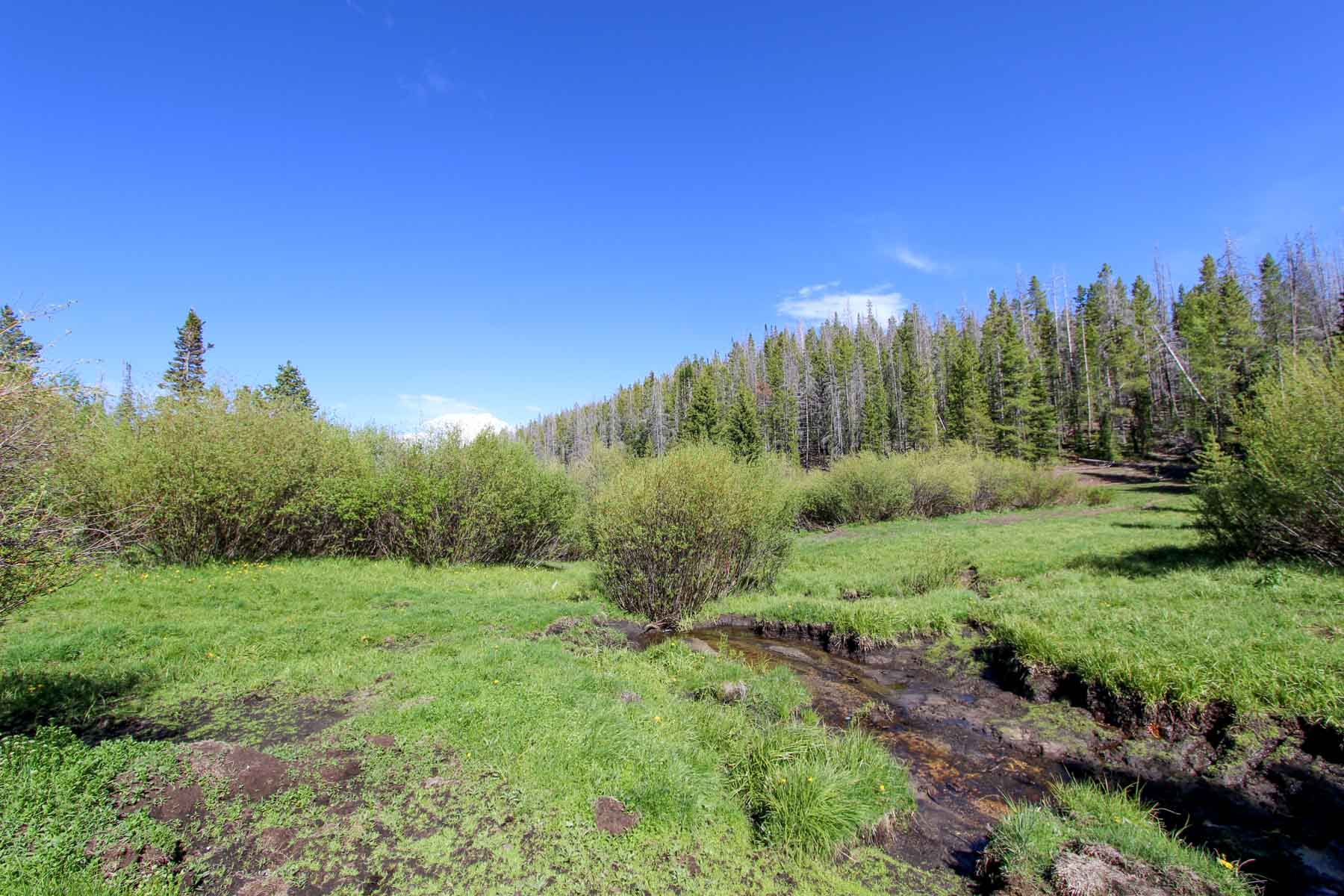 Yarmony Mountain Ranch property picture 42 of 62