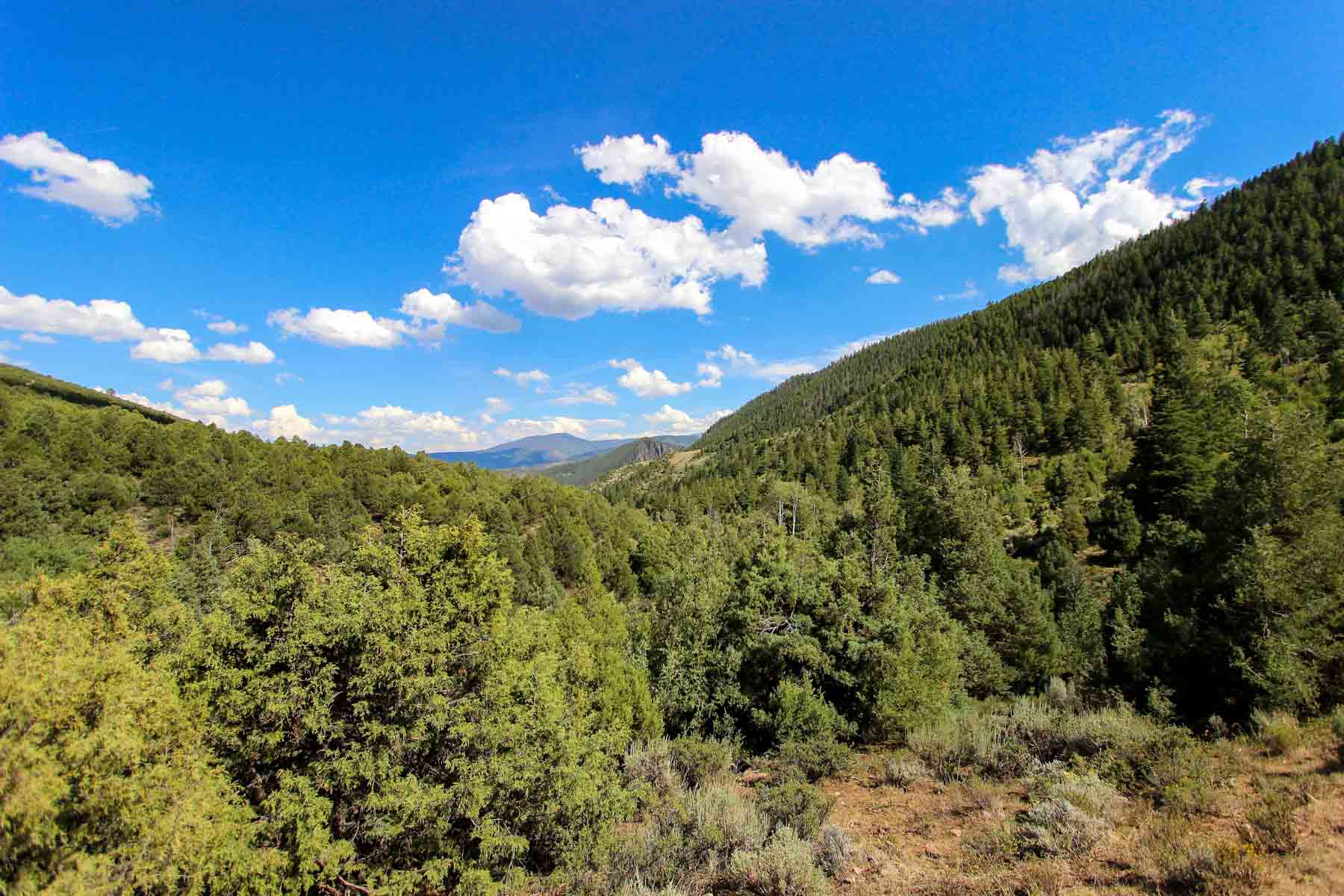 Yarmony Mountain Ranch property picture 16 of 62