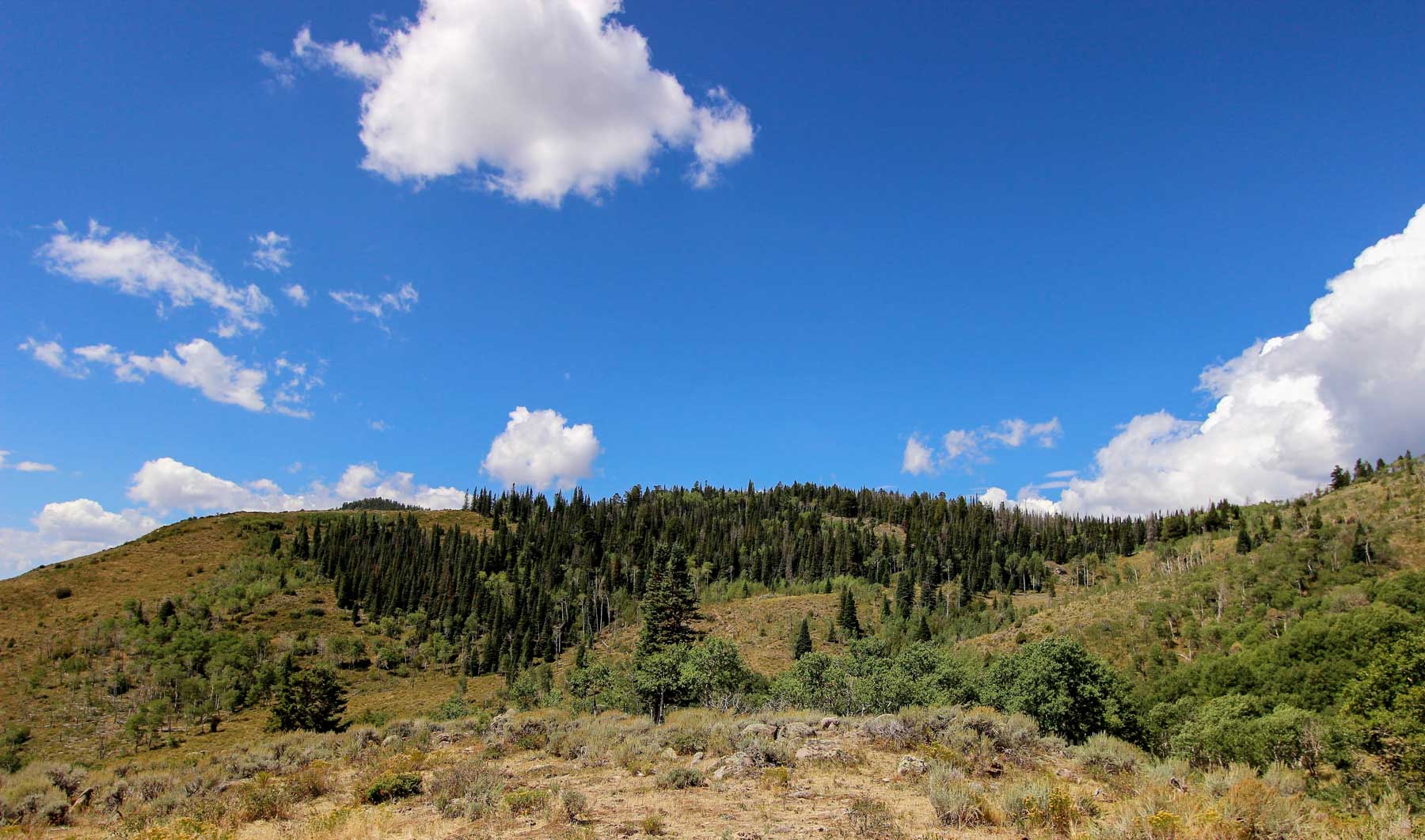 Yarmony Mountain Ranch property picture 37 of 62