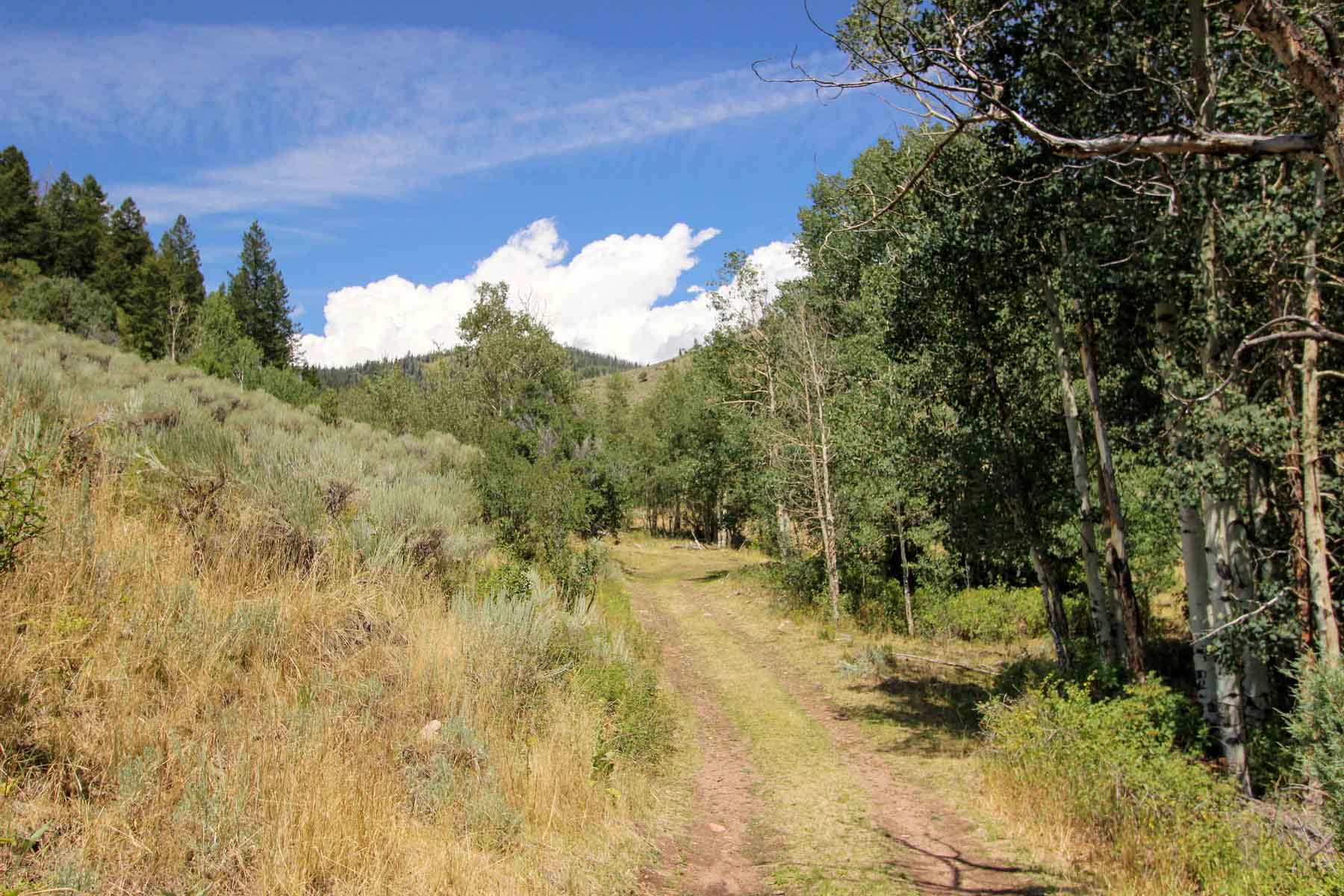 Yarmony Mountain Ranch property picture 34 of 62