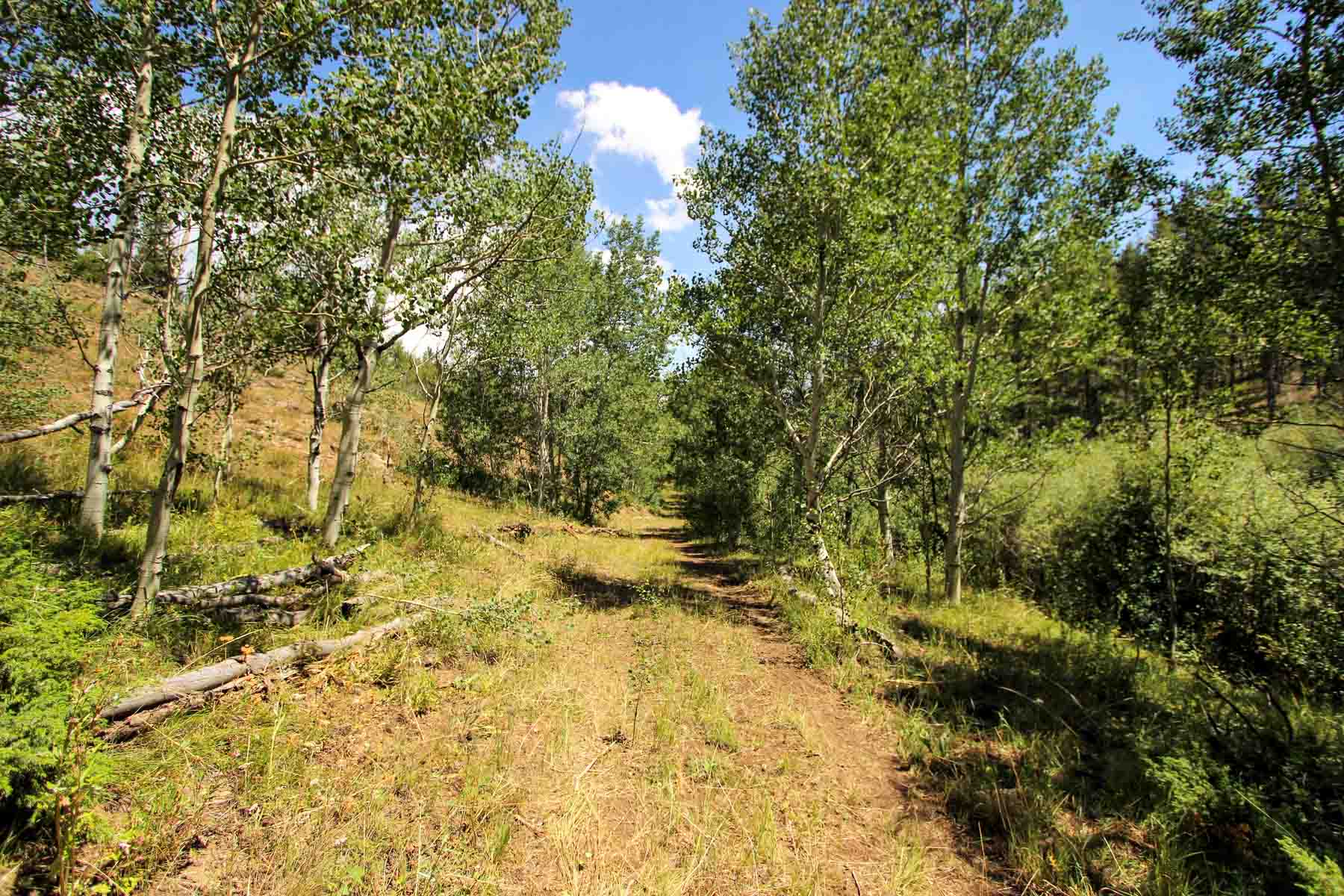Yarmony Mountain Ranch property picture 11 of 62