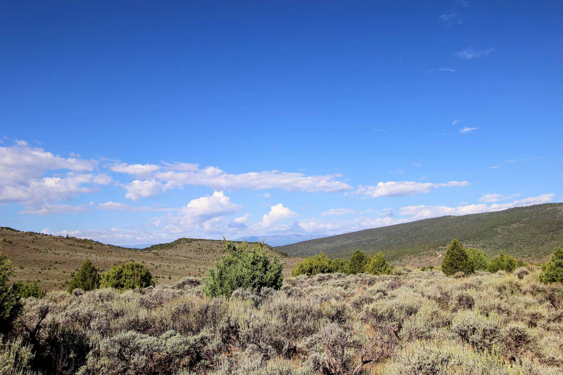 Yarmony Mountain Ranch property picture 30 of 62