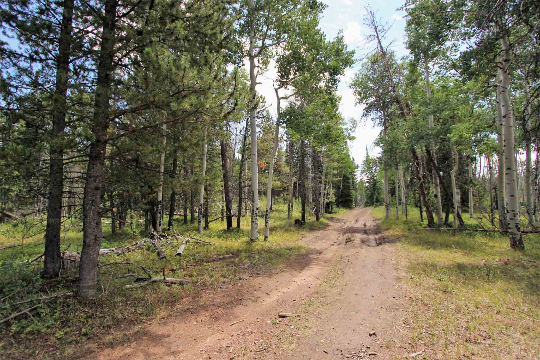 Yarmony Mountain Ranch property picture 61 of 62