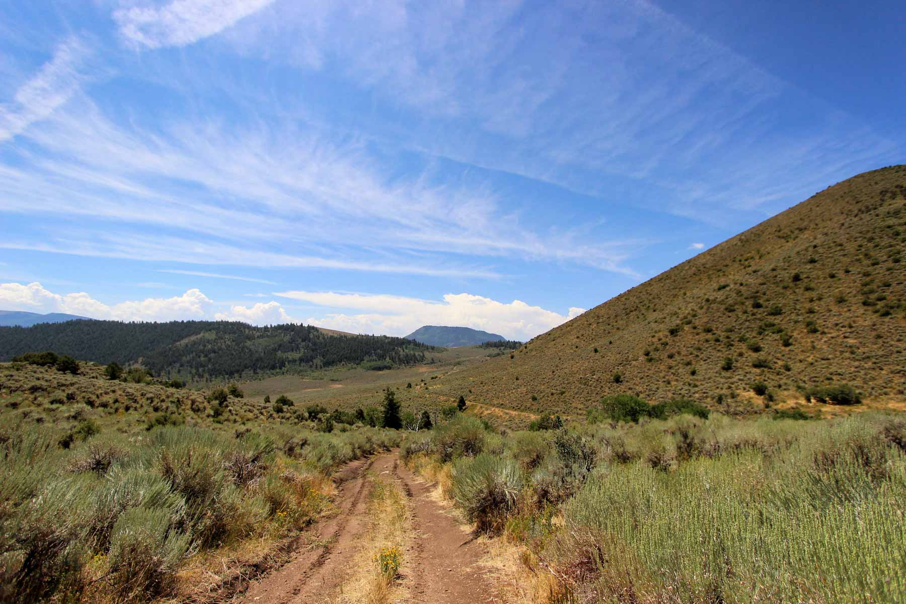 Yarmony Mountain Ranch property picture 43 of 62