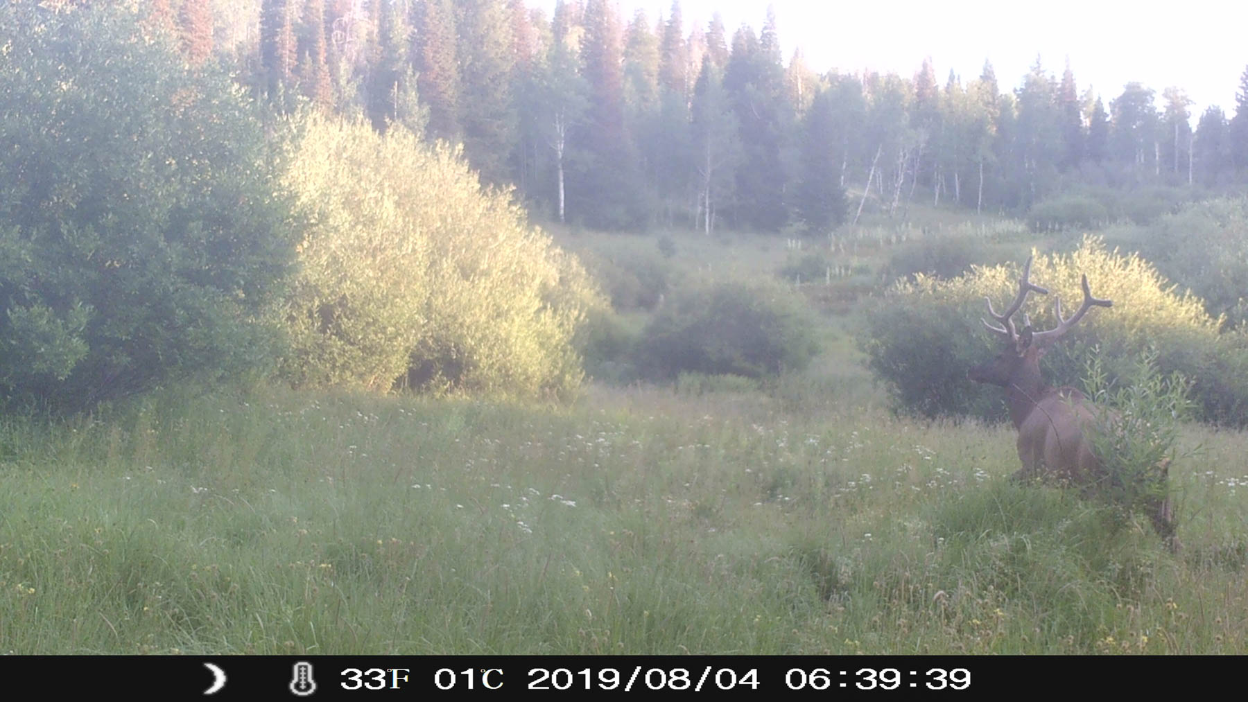 Yarmony Mountain Ranch property picture 52 of 62