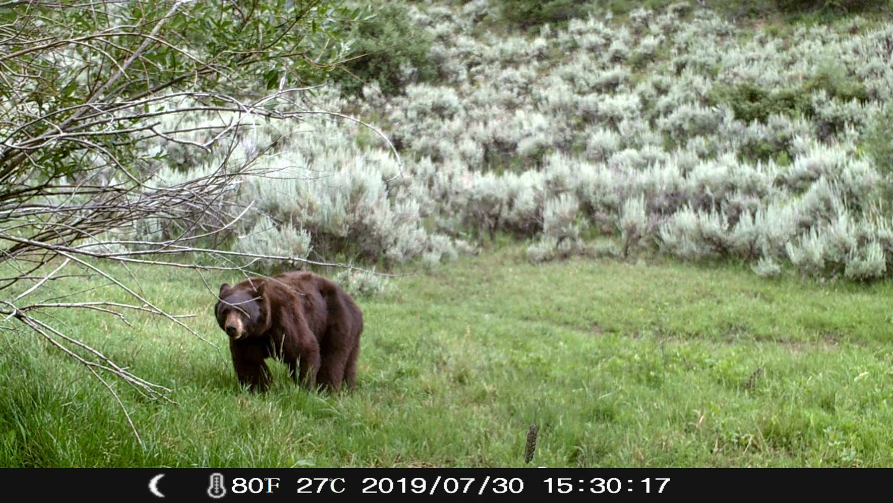 Yarmony Mountain Ranch property picture 47 of 62