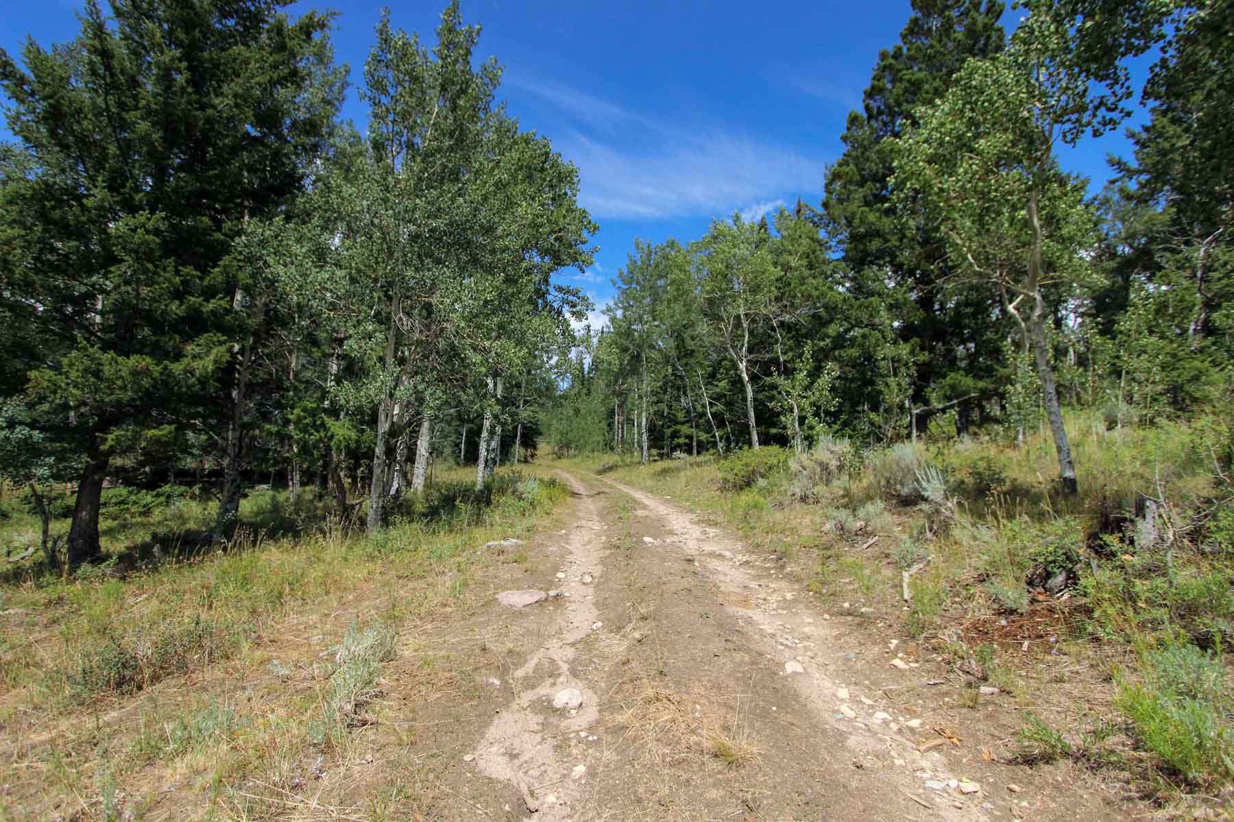 Yarmony Mountain Ranch property picture 60 of 62
