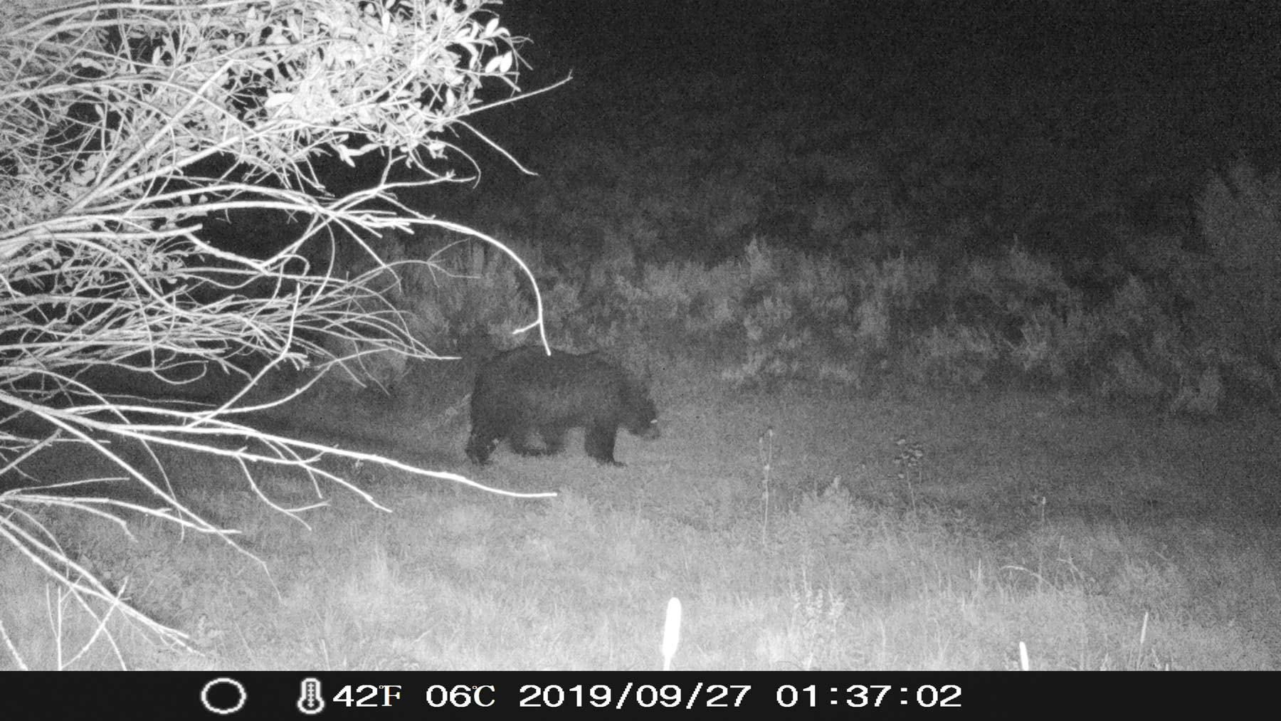 Yarmony Mountain Ranch property picture 58 of 62