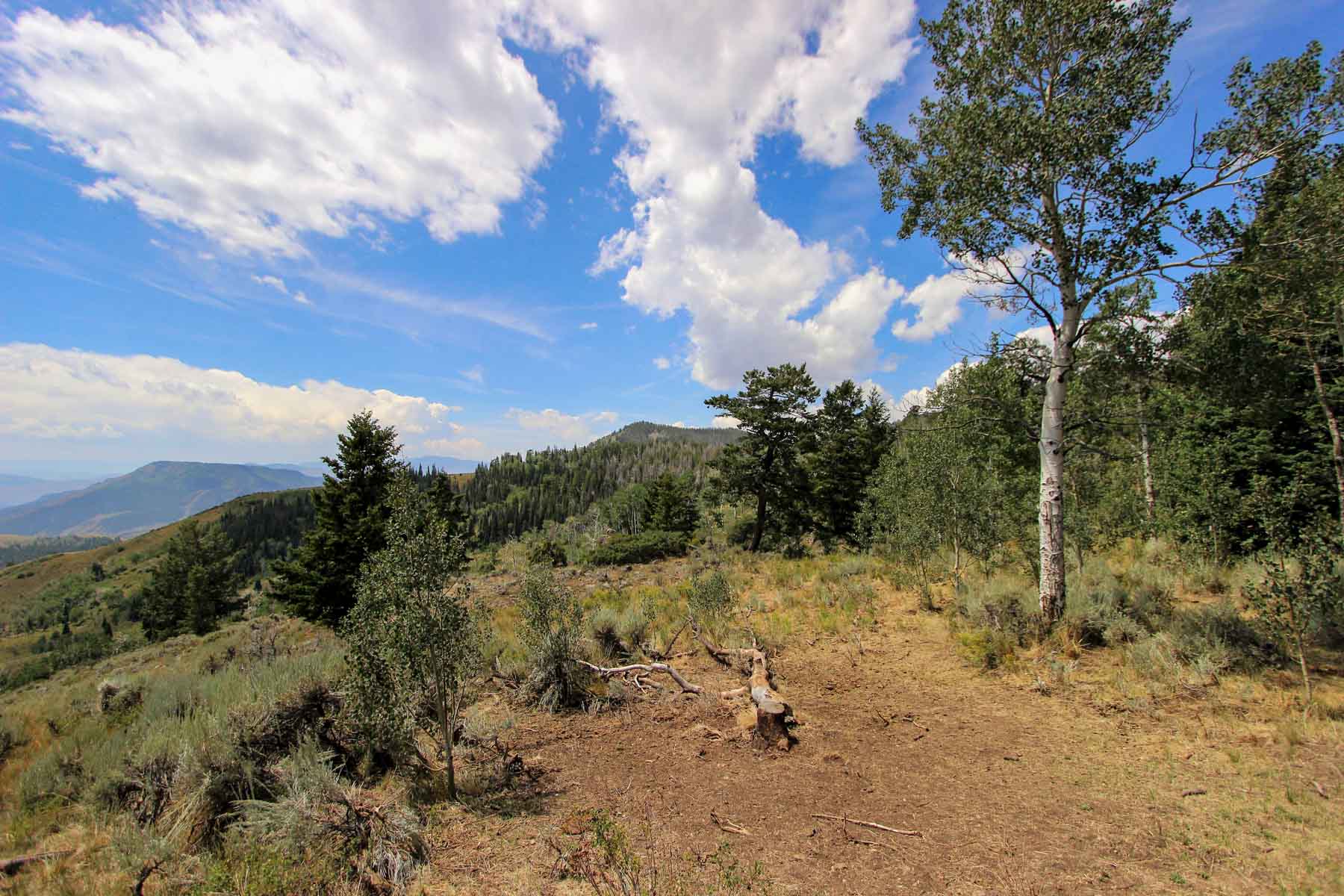 Yarmony Mountain Ranch property picture 53 of 62