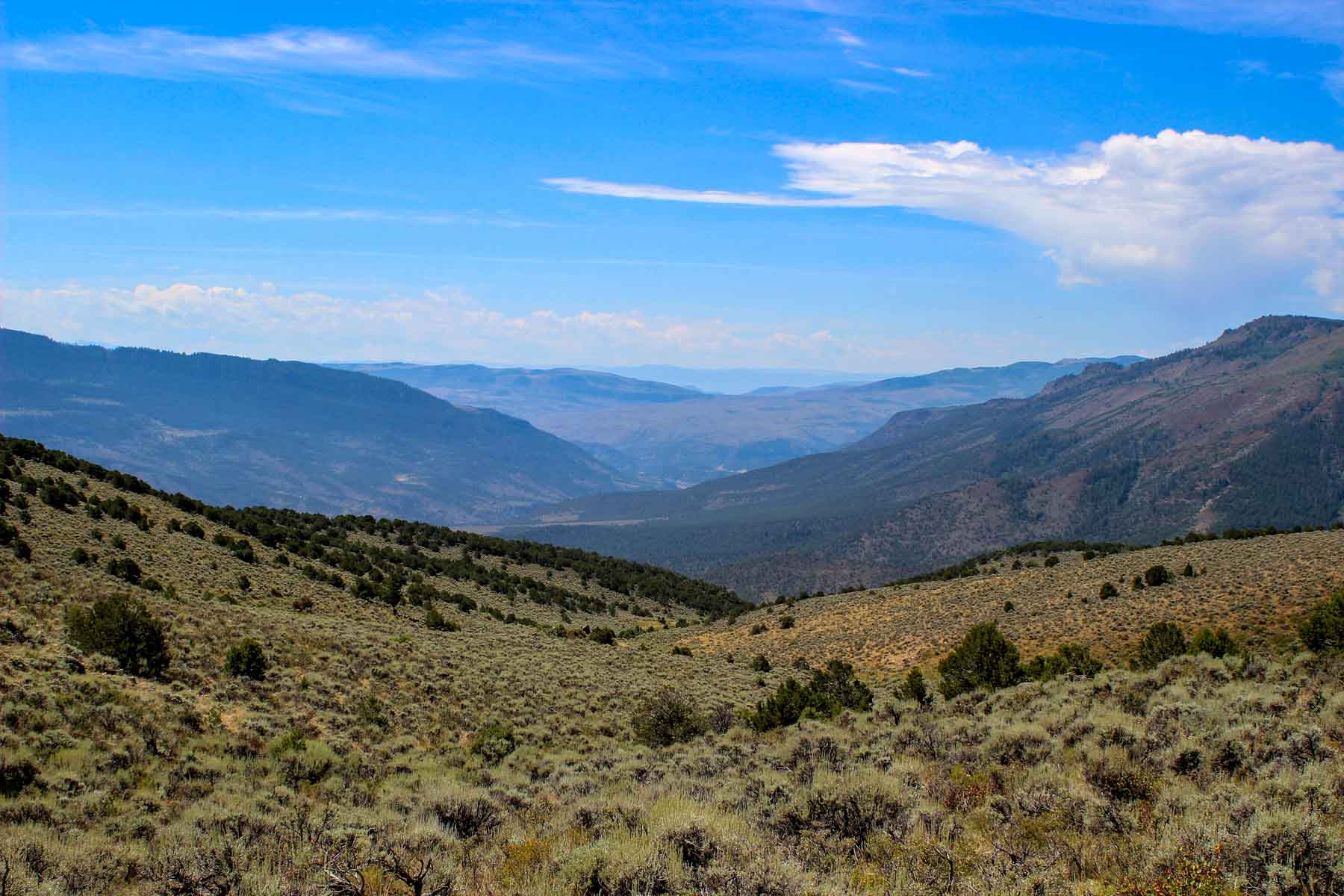 Yarmony Mountain Ranch property picture 6 of 62