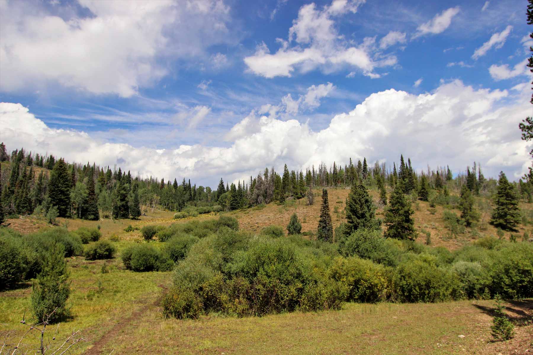 Yarmony Mountain Ranch property picture 62 of 62
