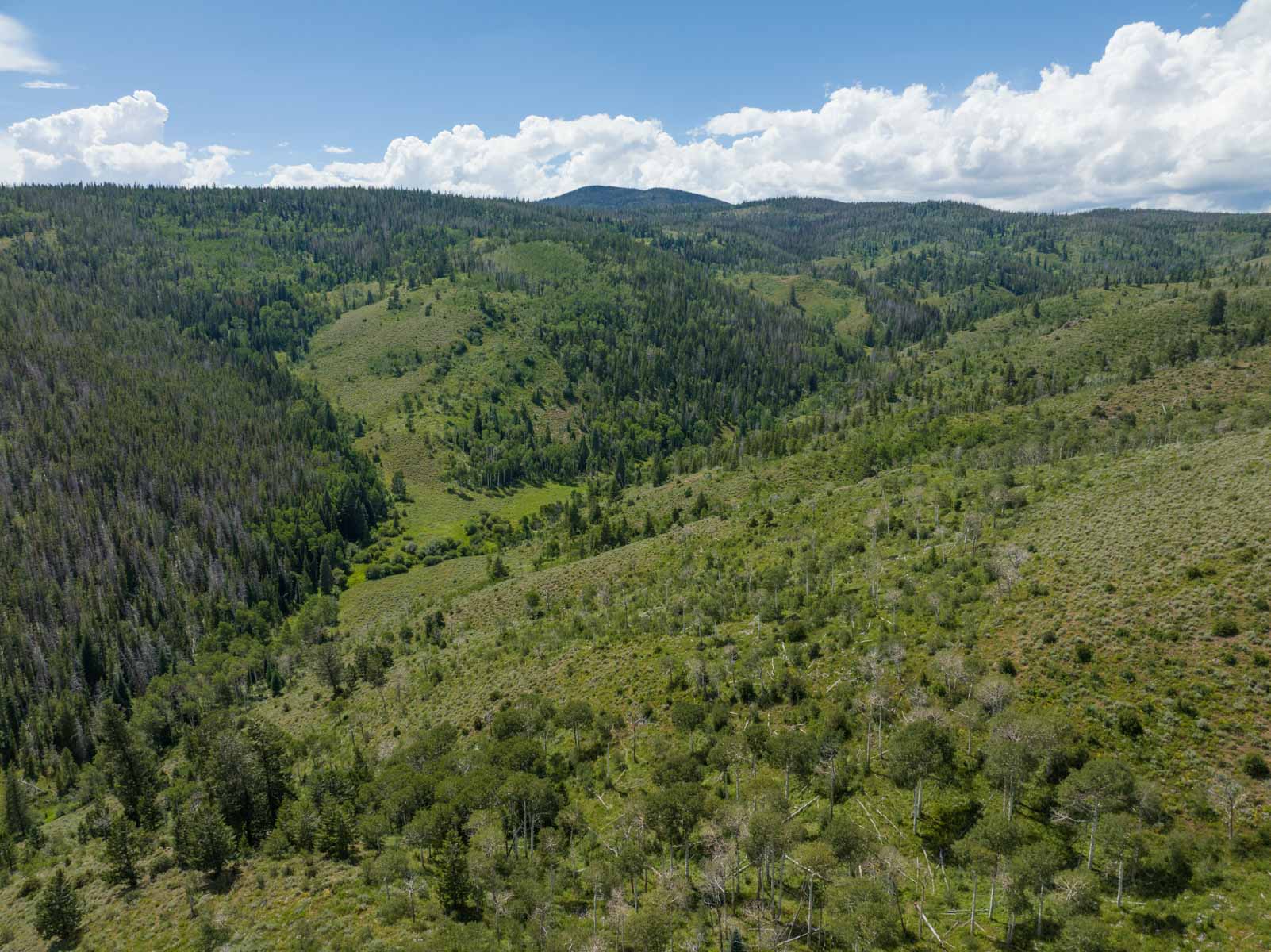 Yarmony Mountain Ranch property picture 57 of 62