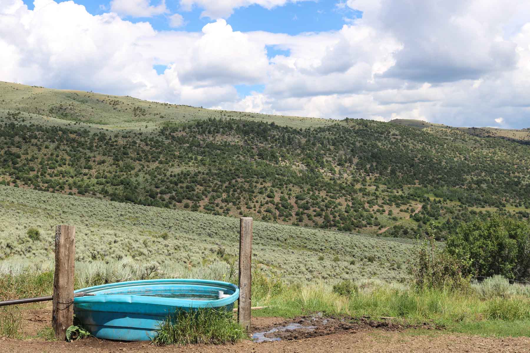 Yarmony Mountain Ranch property picture 4 of 62